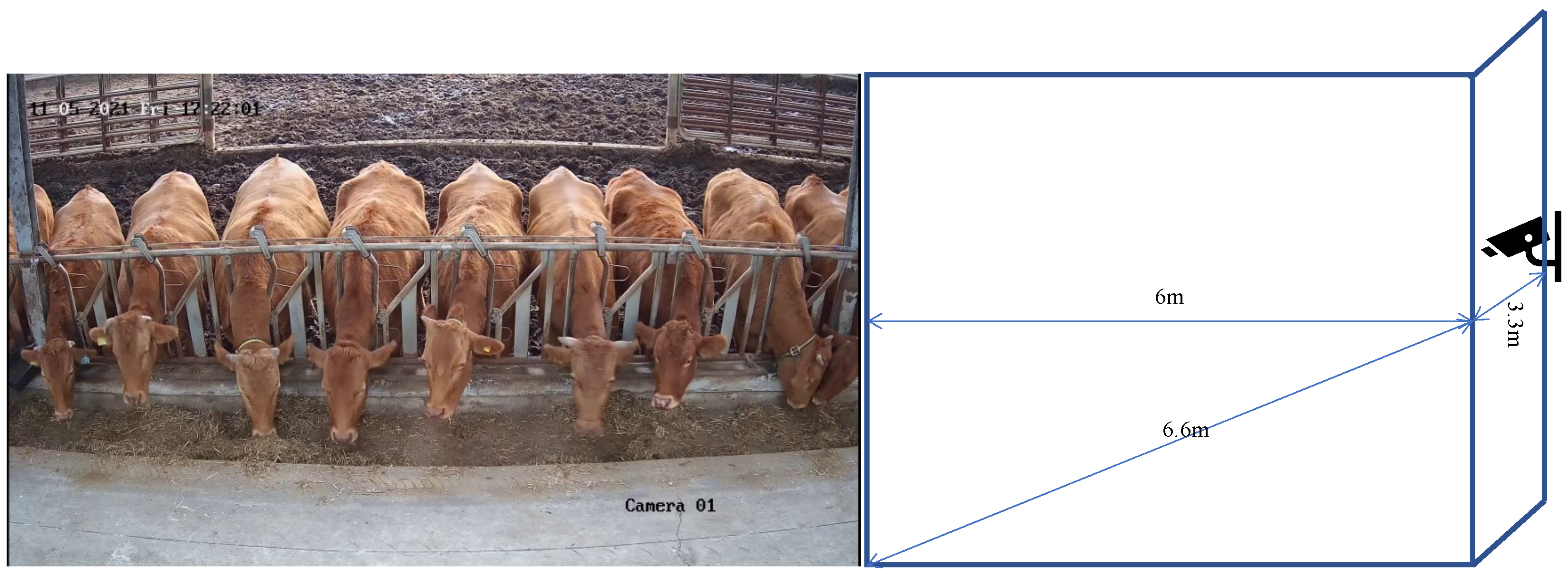 Animals 13 03588 g002