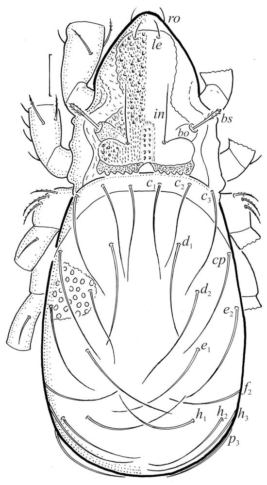 Animals 13 03590 g001