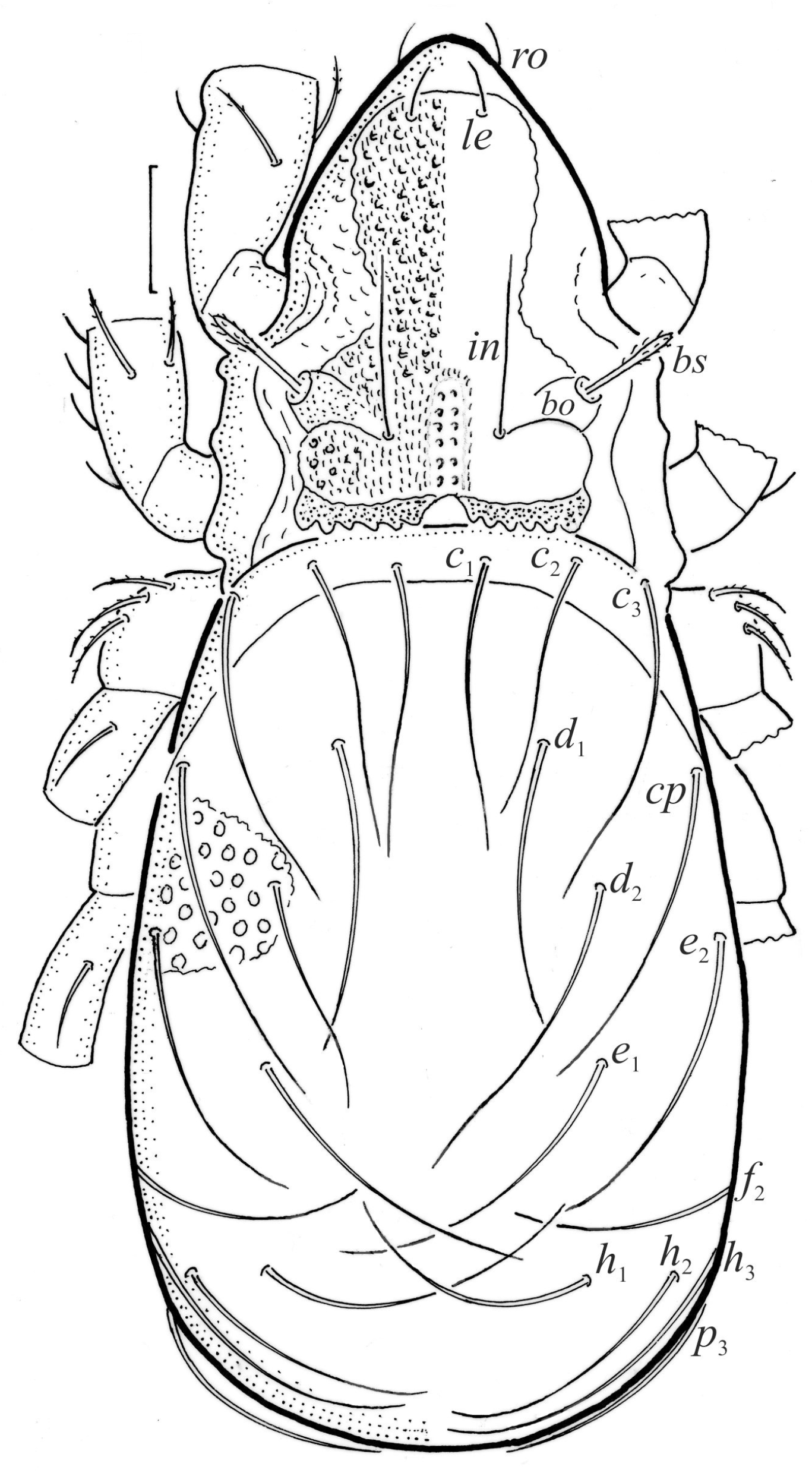 Animals 13 03590 g001