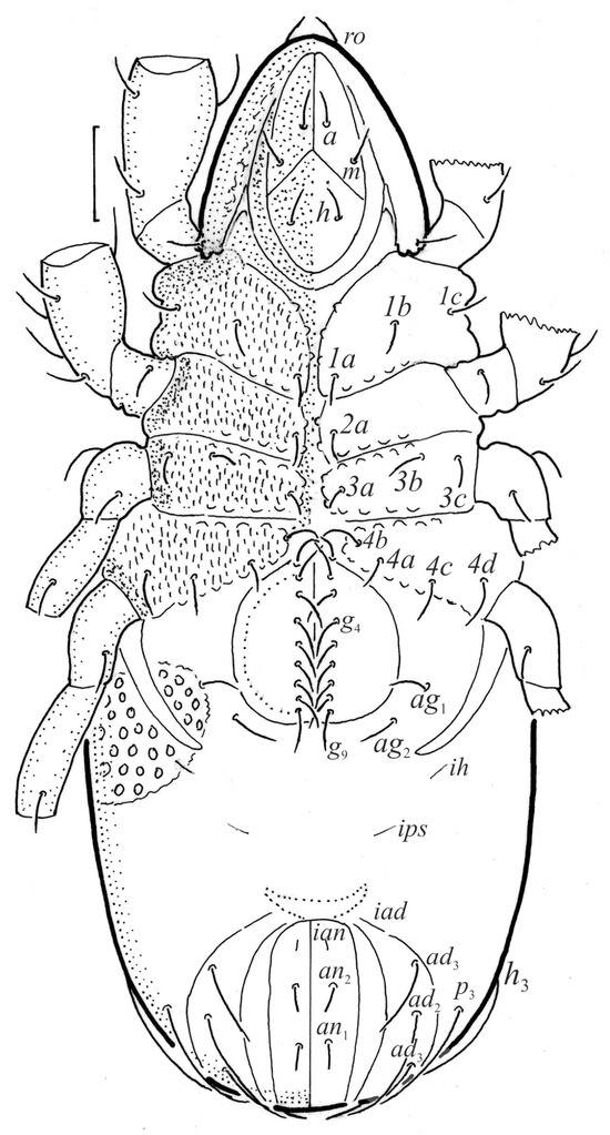 Animals 13 03590 g002