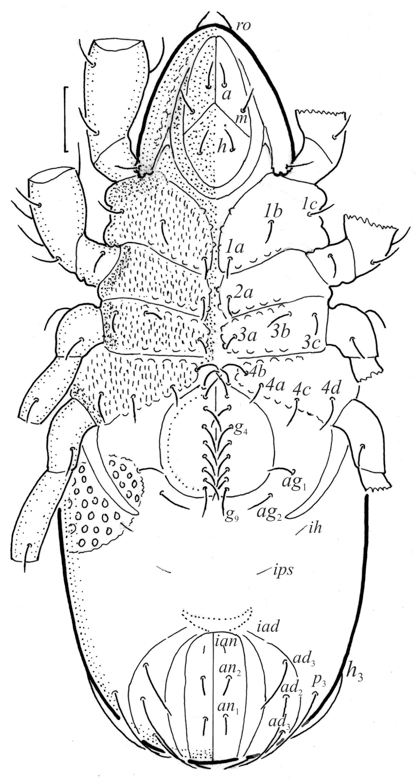 Animals 13 03590 g002