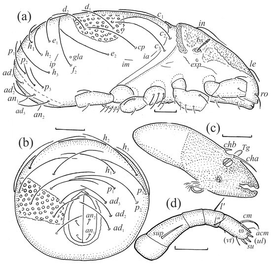Animals 13 03590 g003
