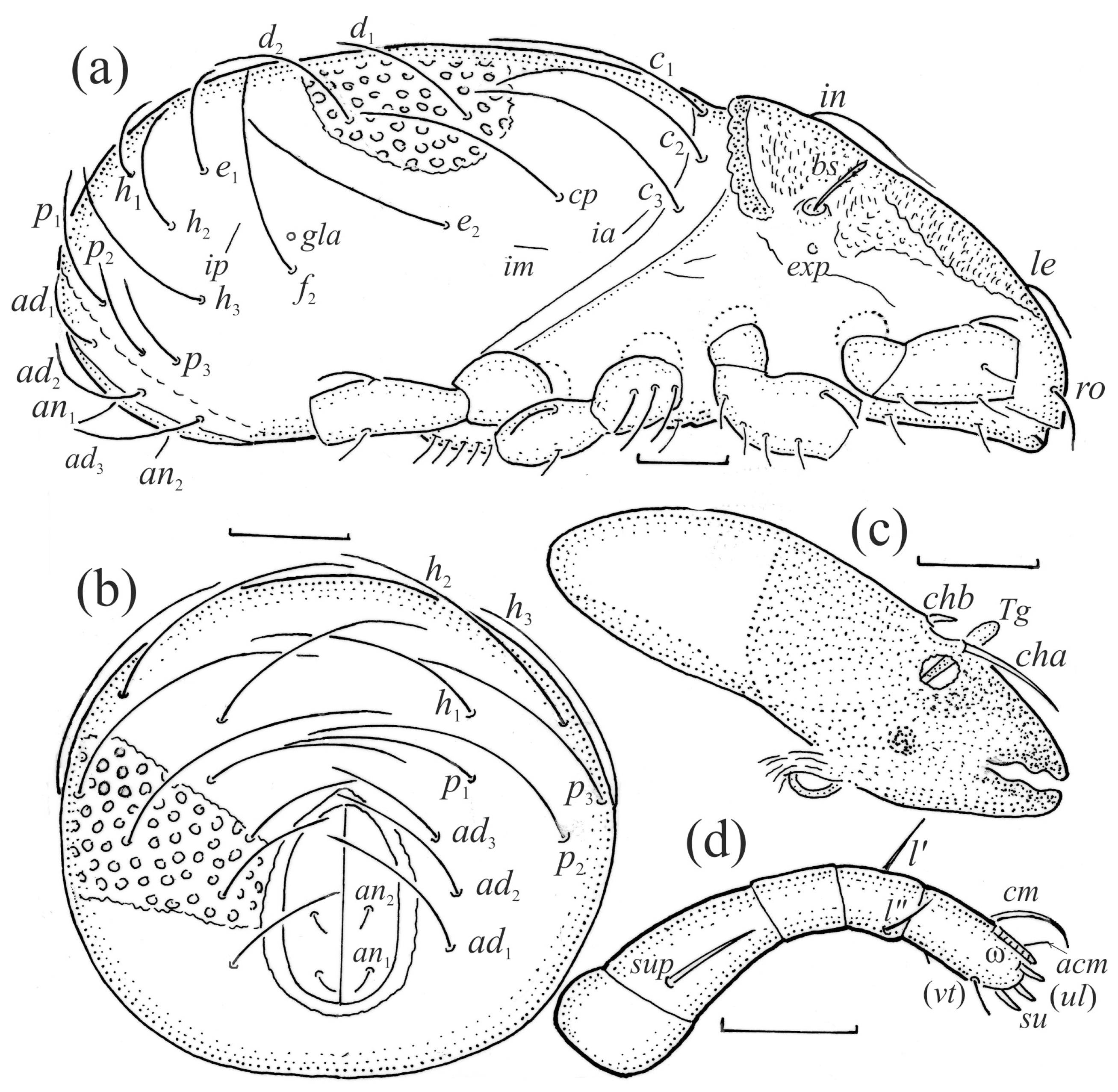 Animals 13 03590 g003