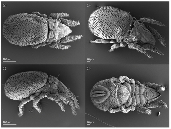 Animals 13 03590 g004