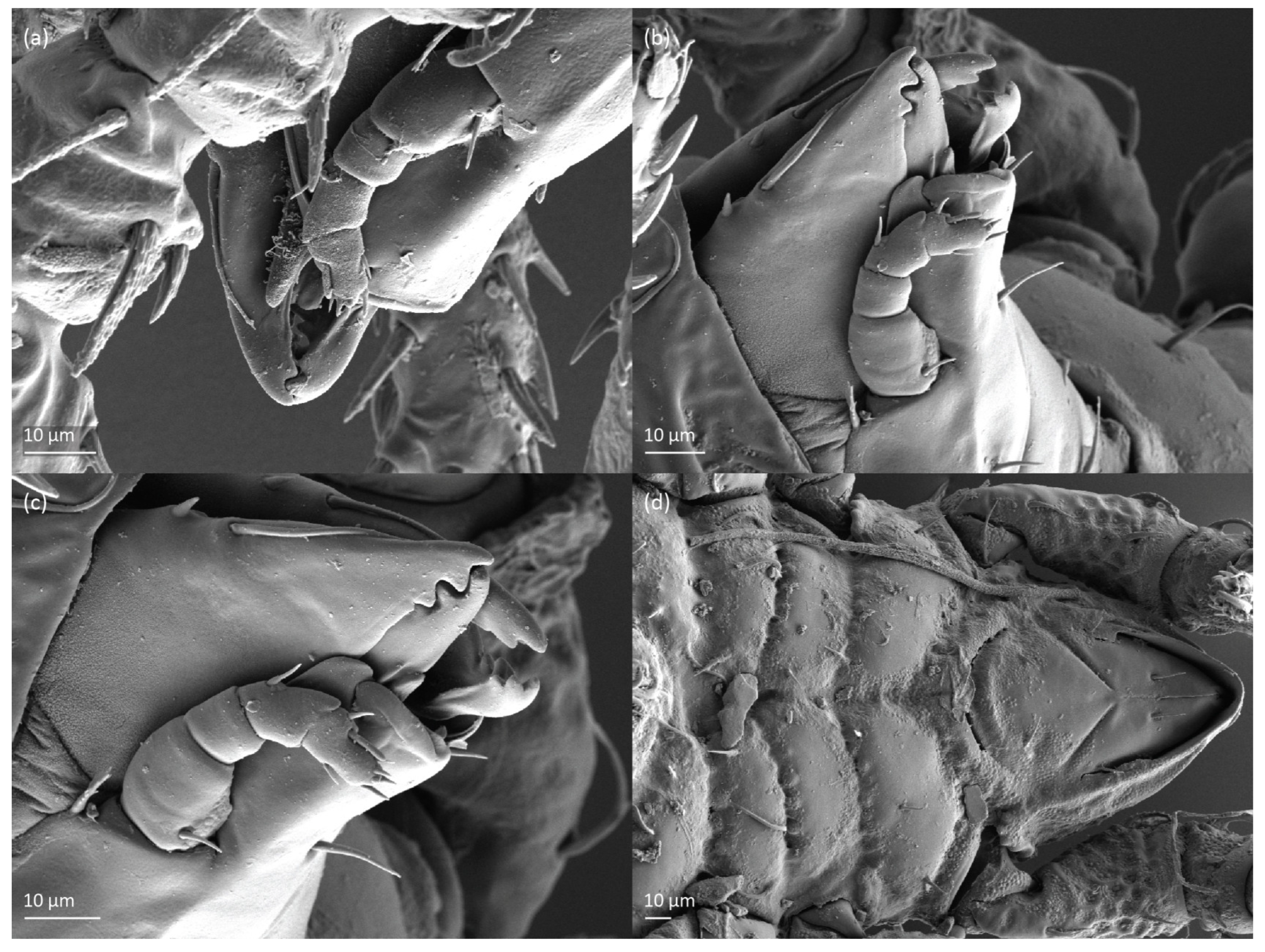 Animals 13 03590 g006