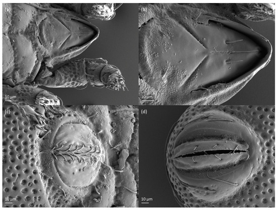 Animals 13 03590 g007