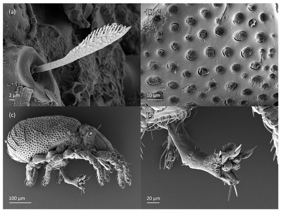 Animals 13 03590 g008