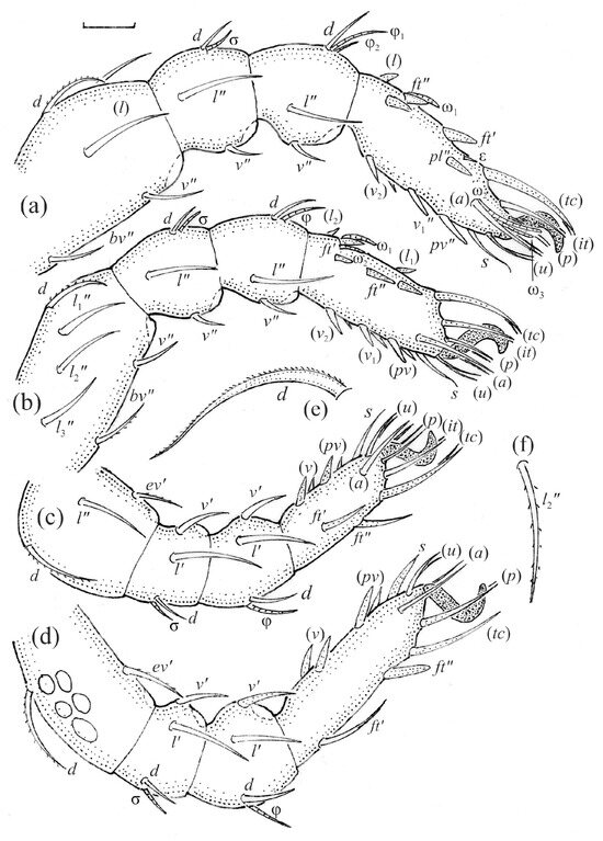 Animals 13 03590 g009