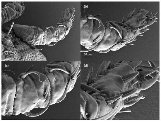 Animals 13 03590 g010