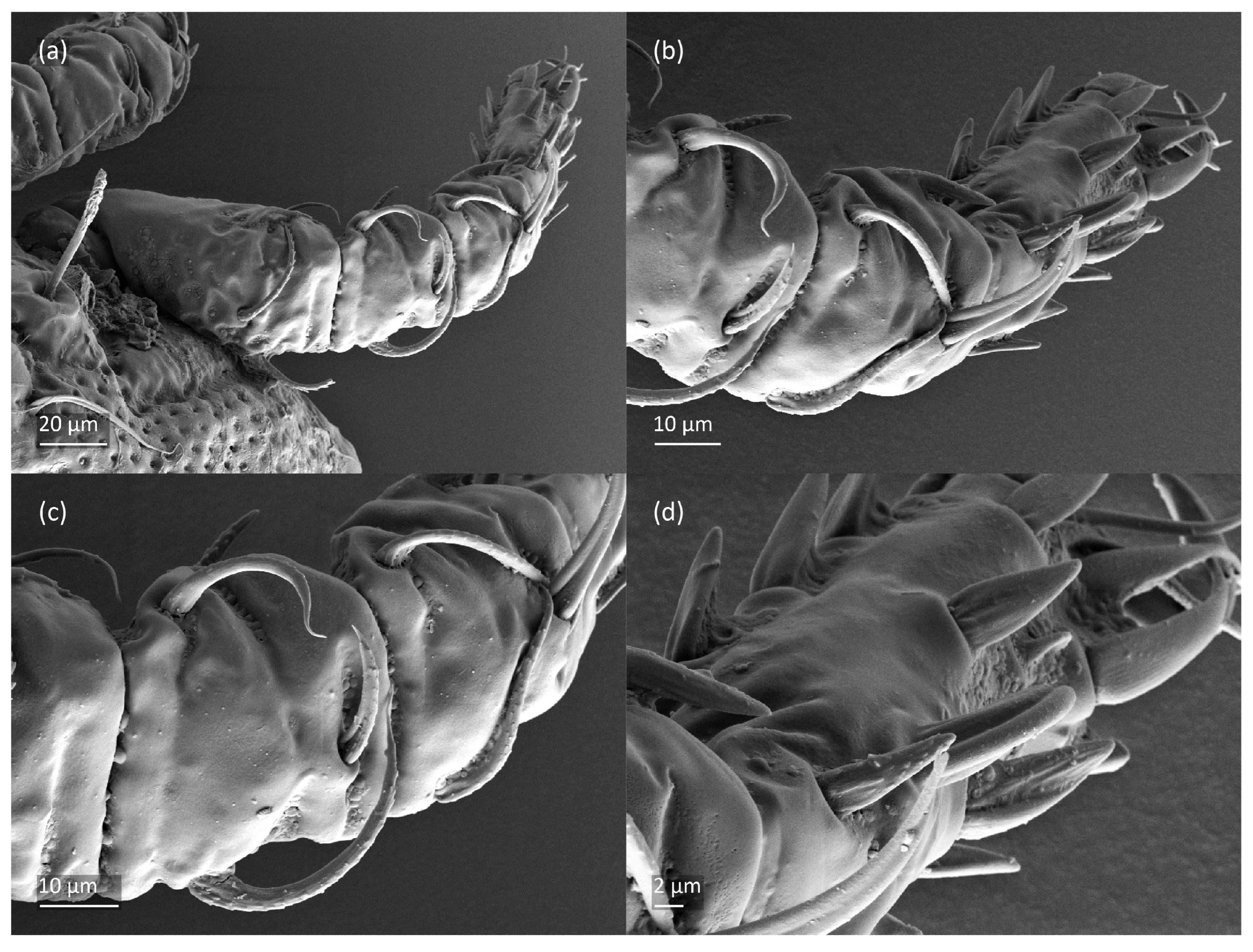 Animals 13 03590 g010