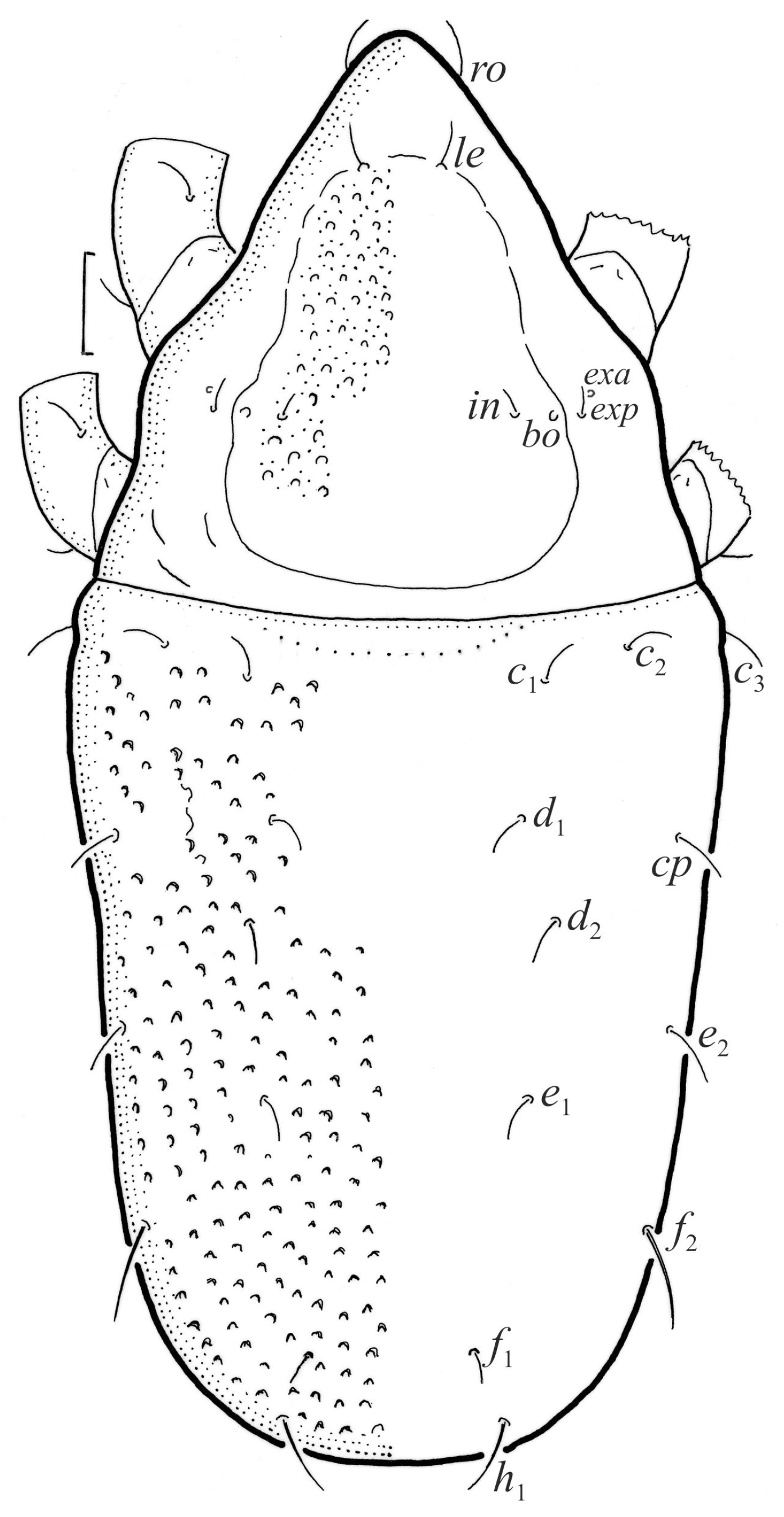 Animals 13 03590 g012