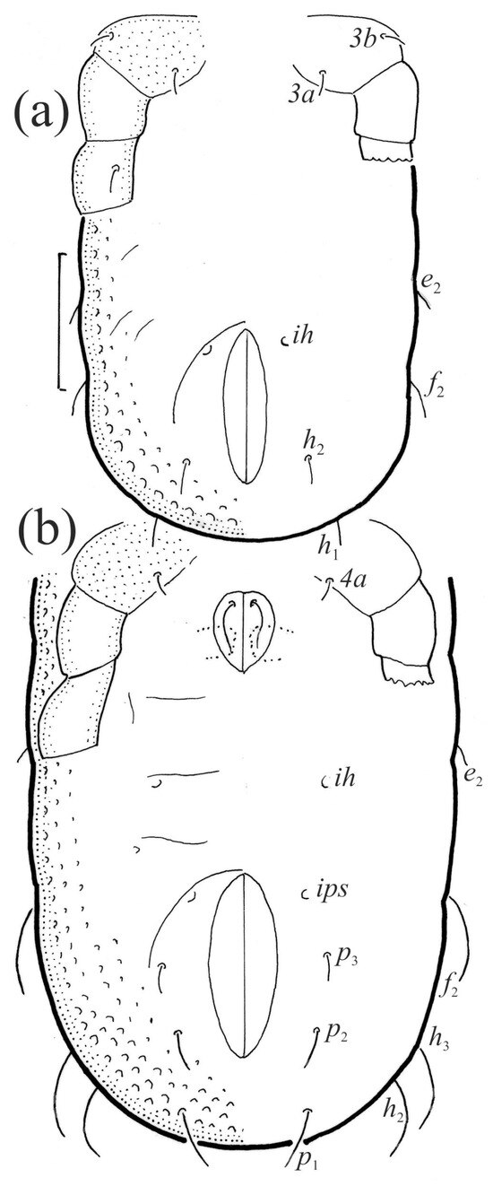 Animals 13 03590 g013