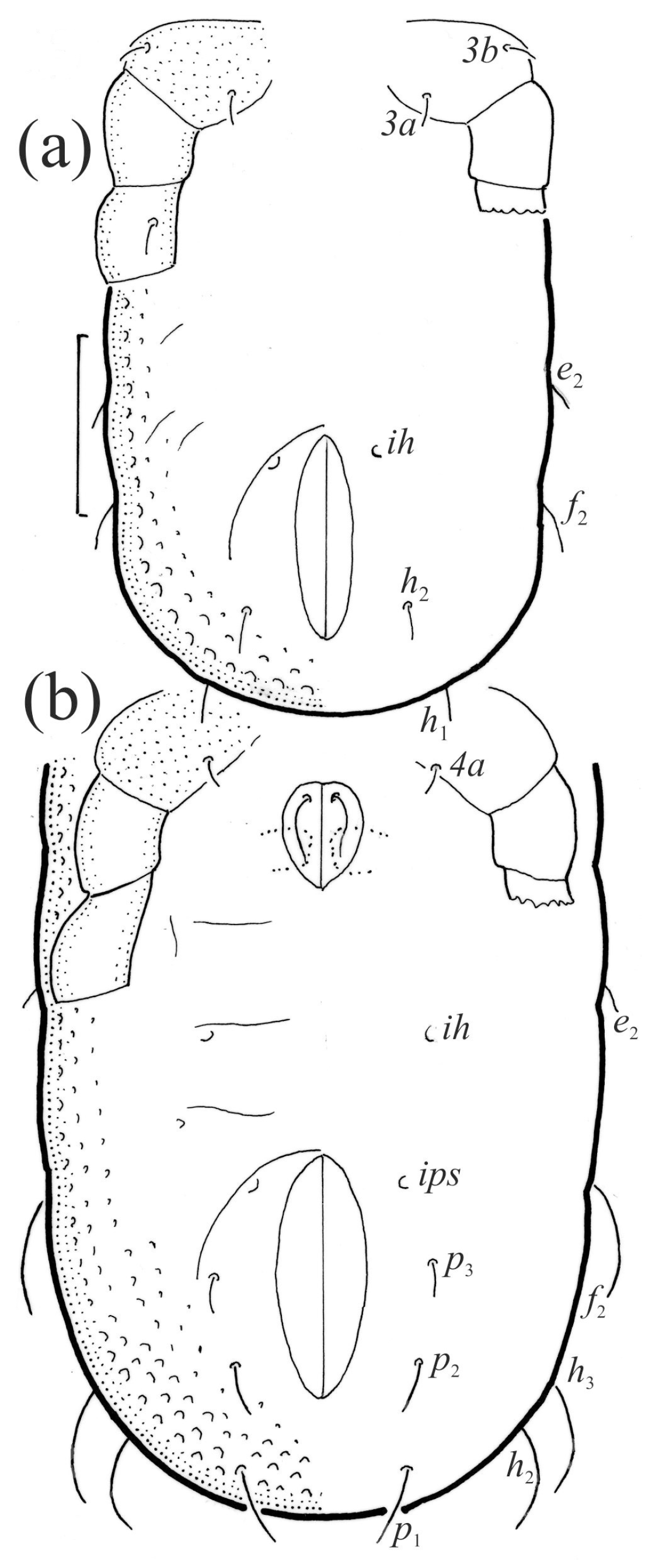 Animals 13 03590 g013