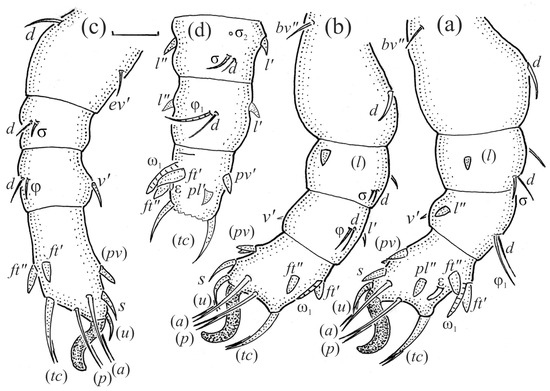 Animals 13 03590 g015