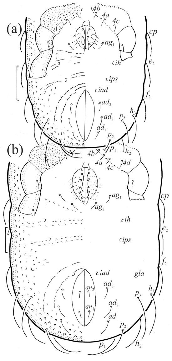 Animals 13 03590 g016