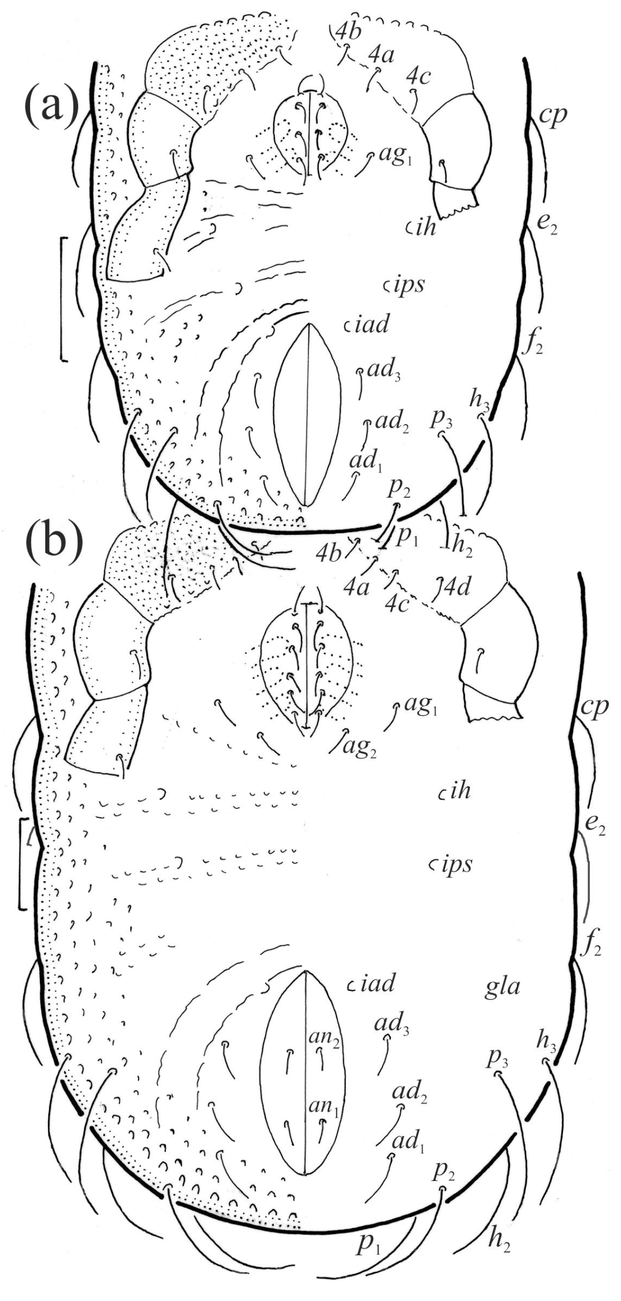 Animals 13 03590 g016