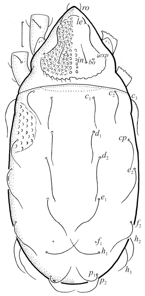 Animals 13 03590 g017