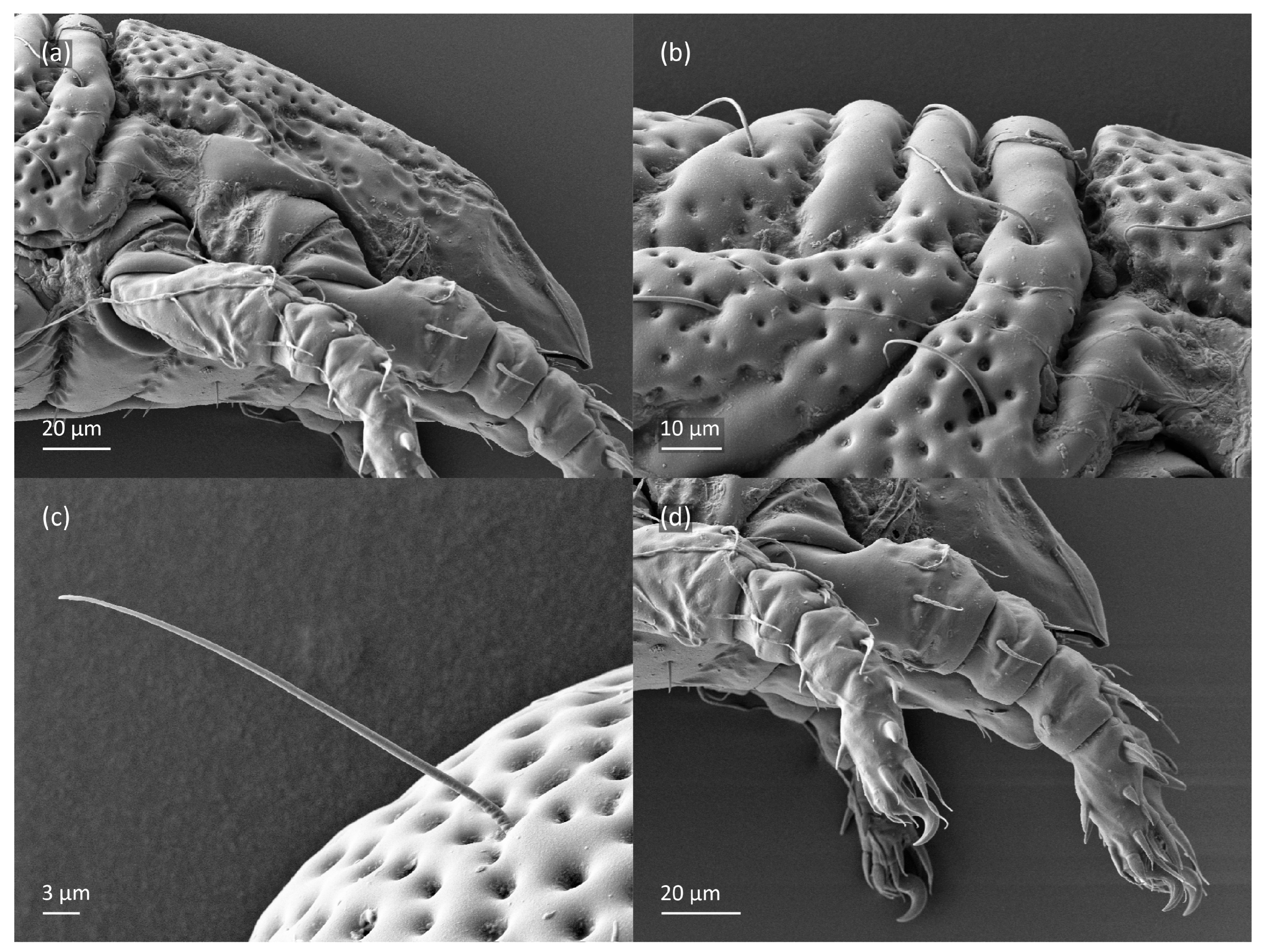 Animals 13 03590 g019