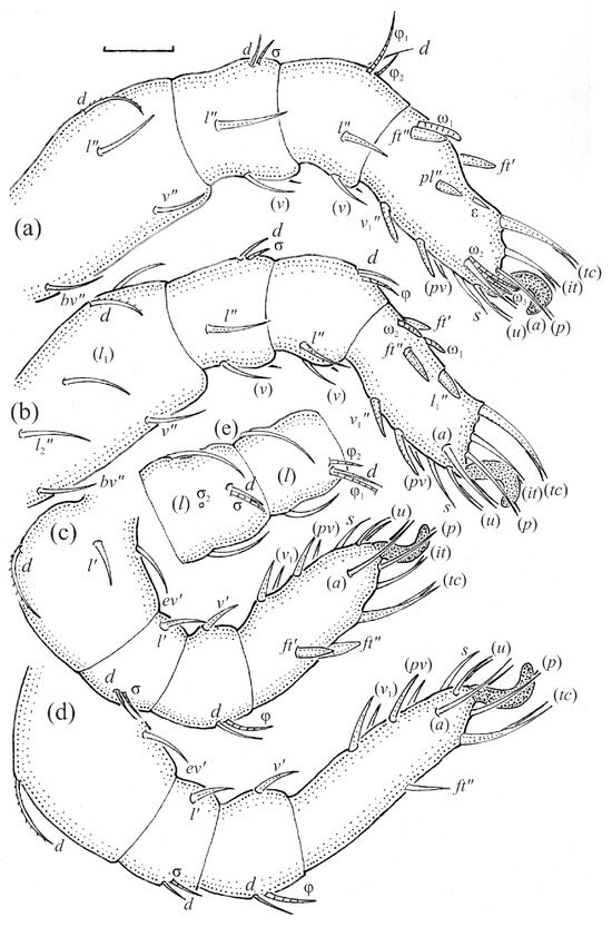 Animals 13 03590 g020