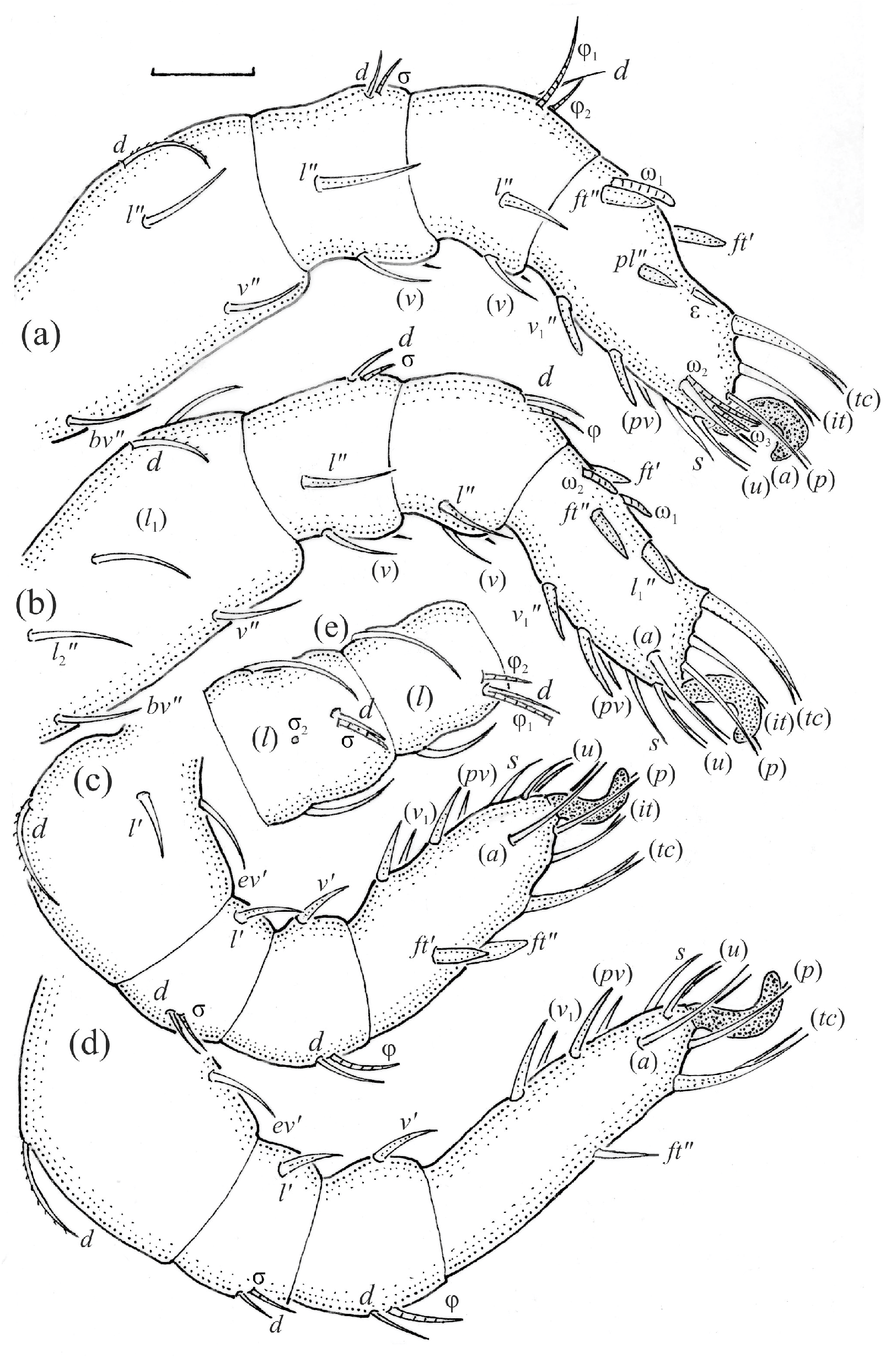 Animals 13 03590 g020