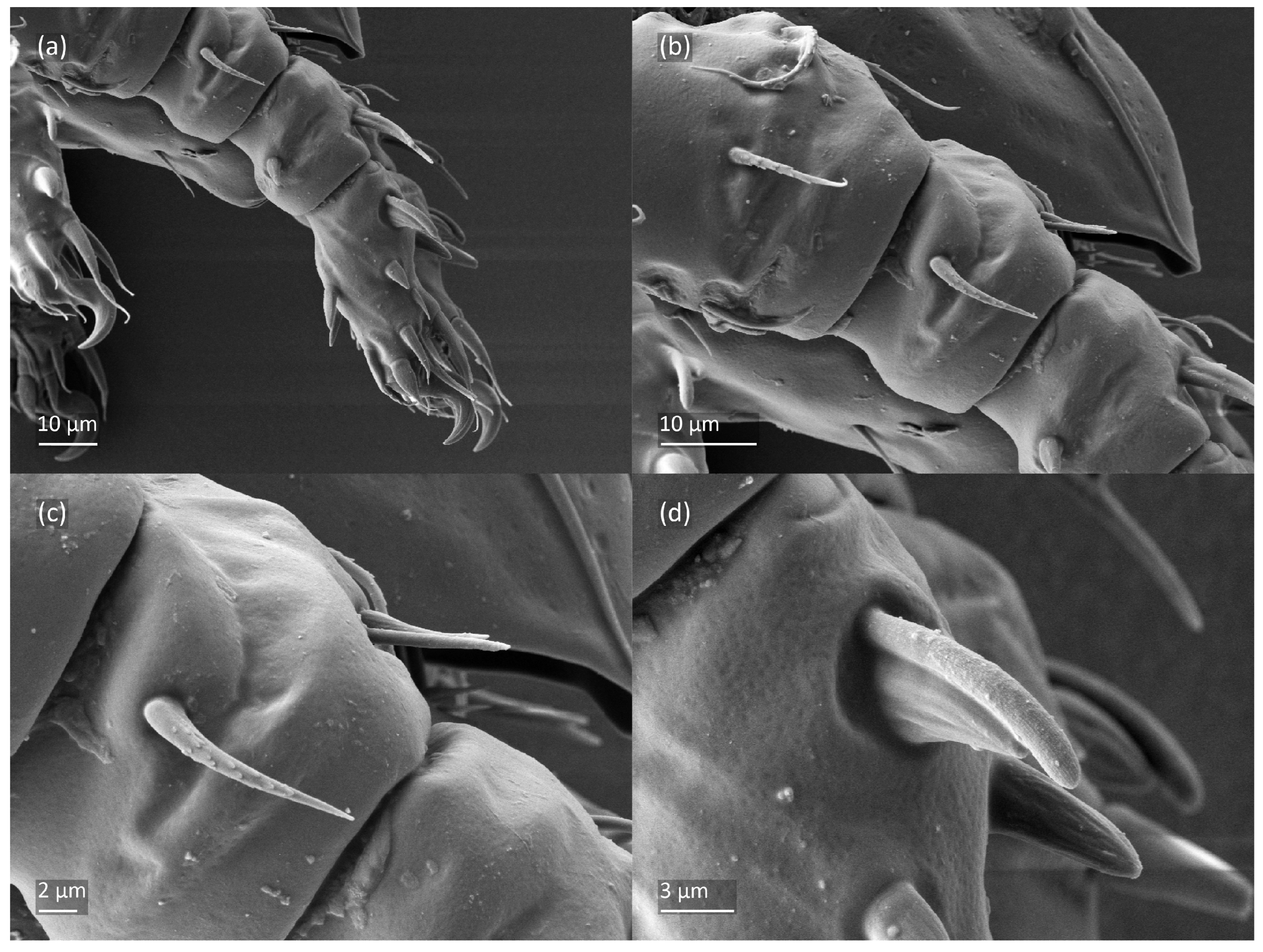 Animals 13 03590 g021