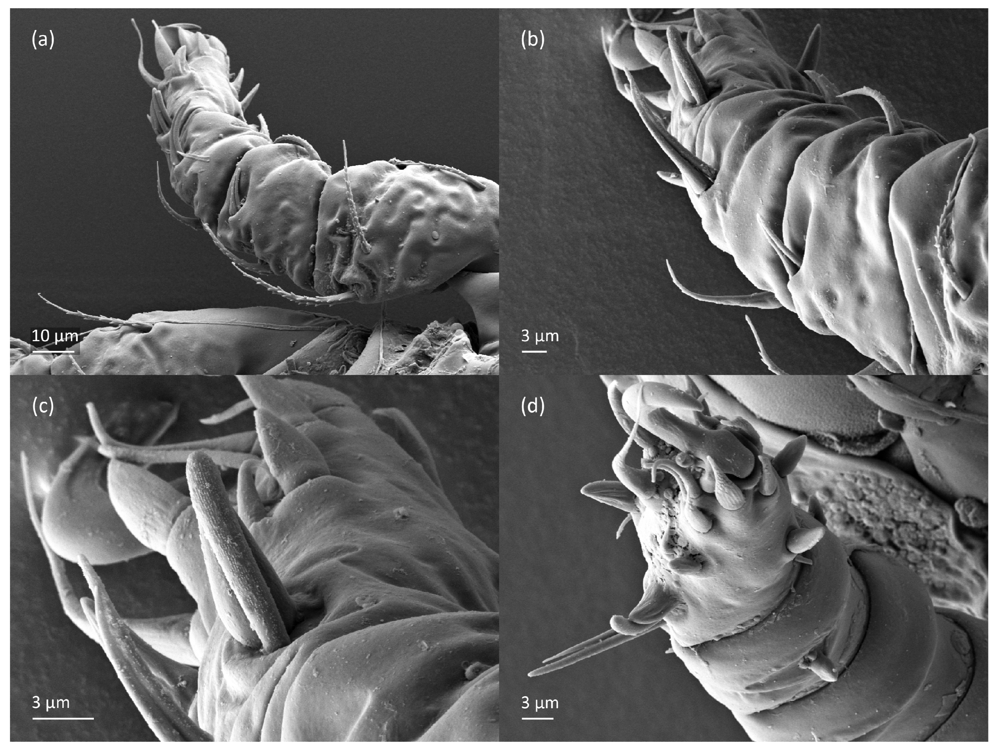 Animals 13 03590 g022