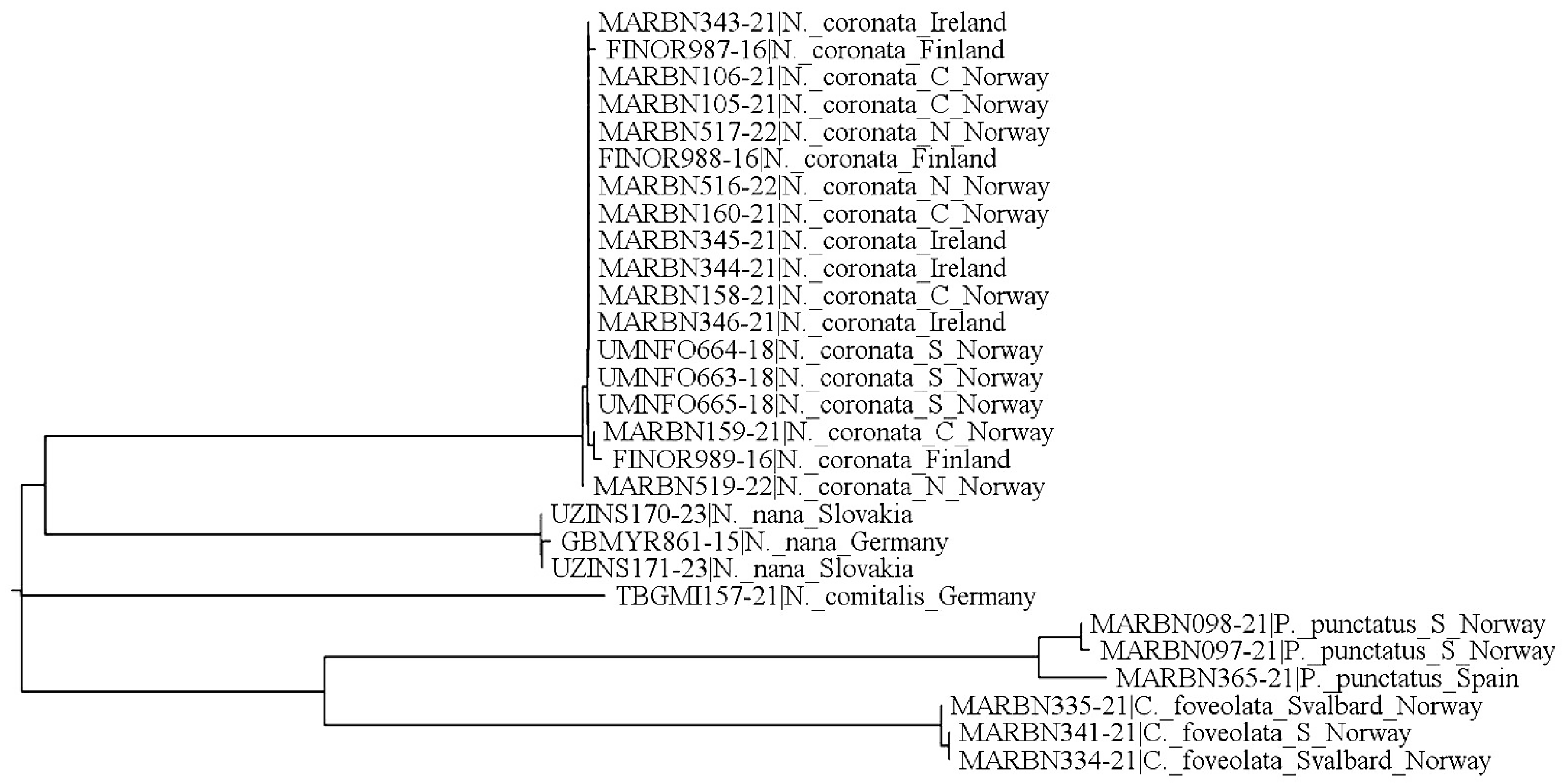 Animals 13 03590 g023
