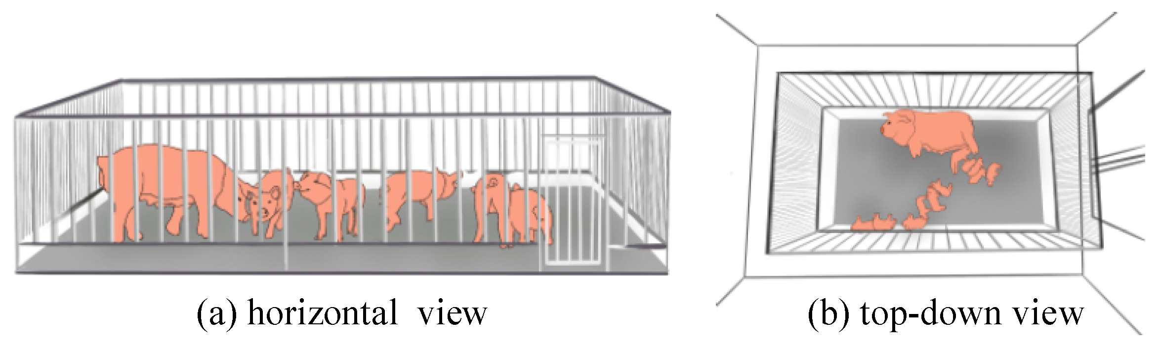 Animals 13 03591 g001