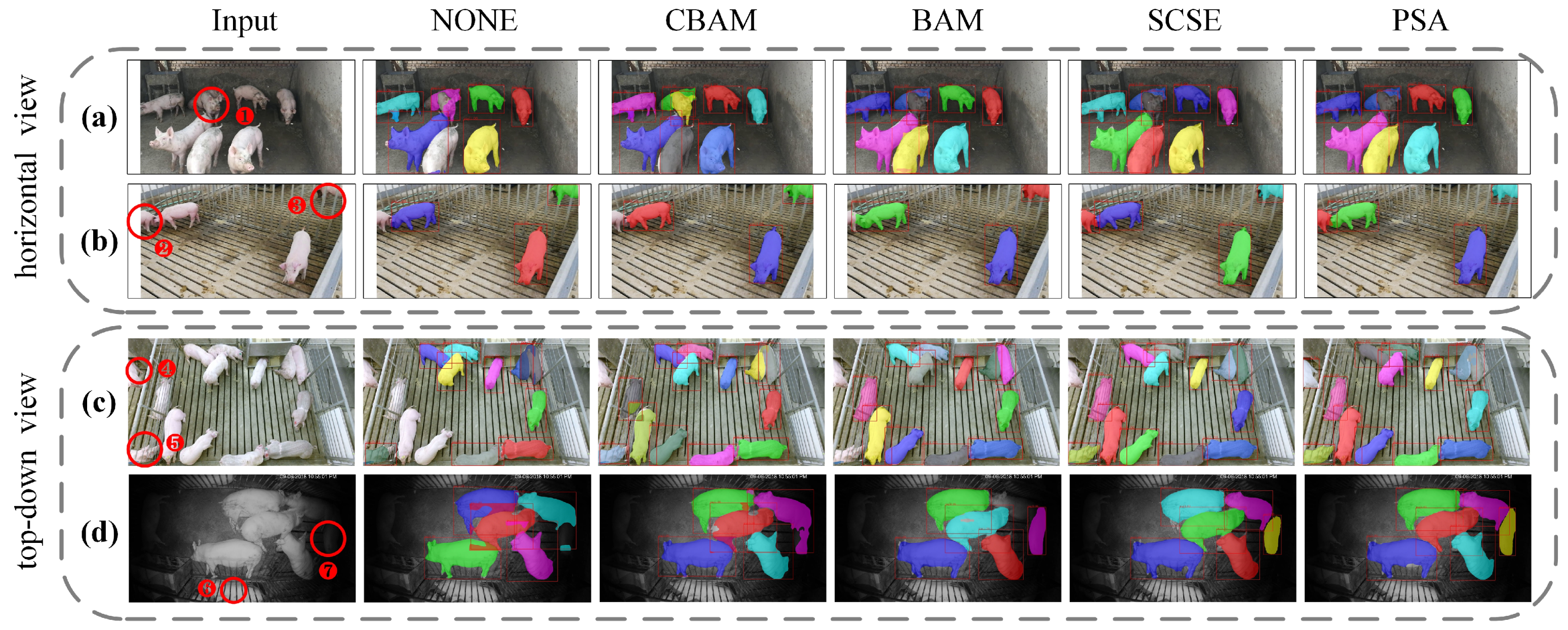 Animals 13 03591 g006