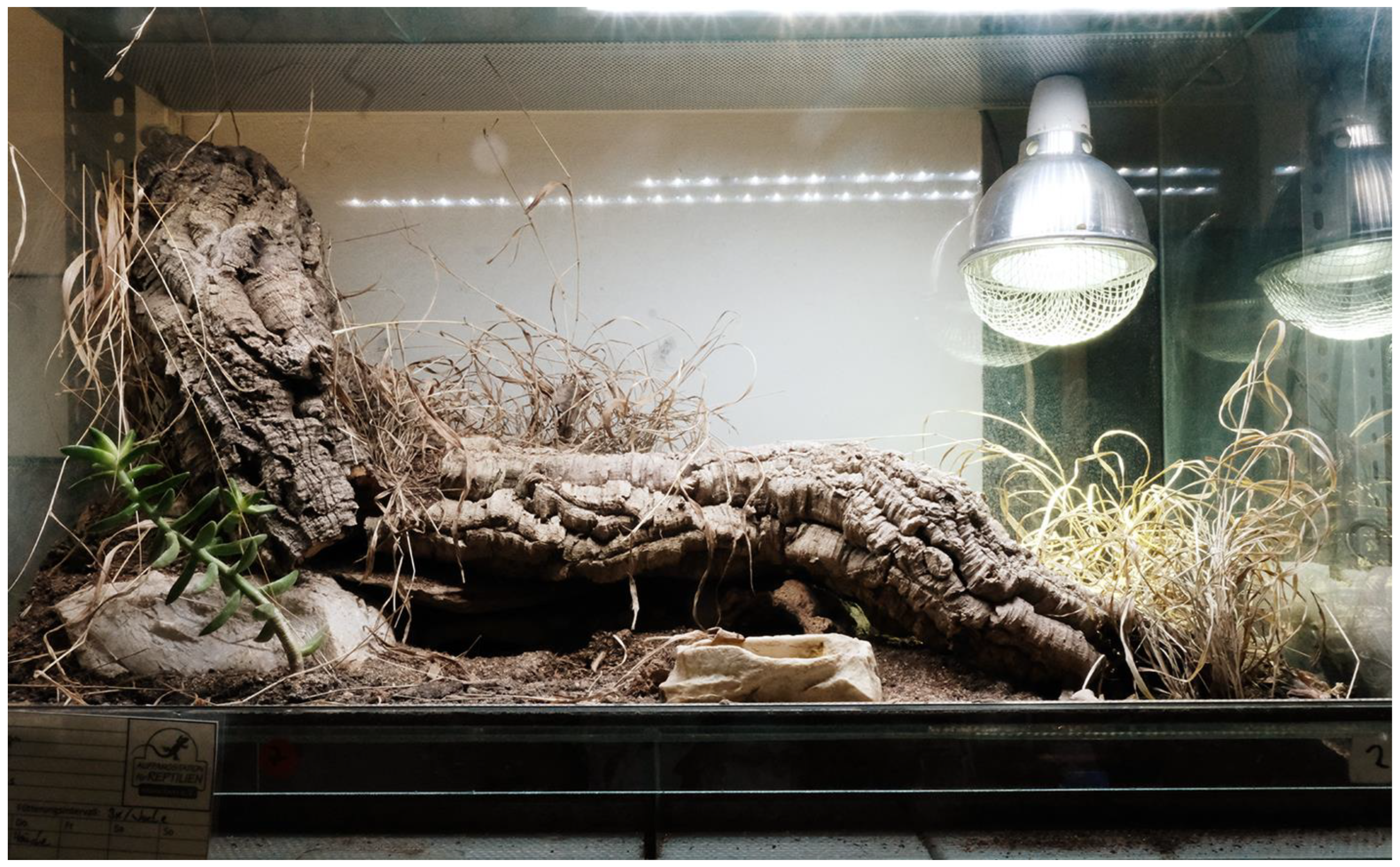 Animals 13 03595 g002