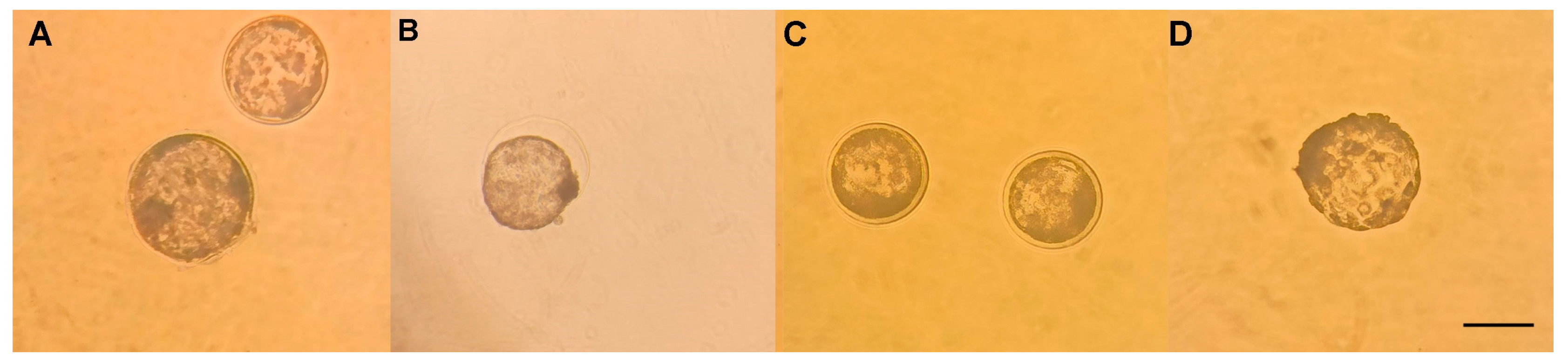 Animals 13 03602 g001