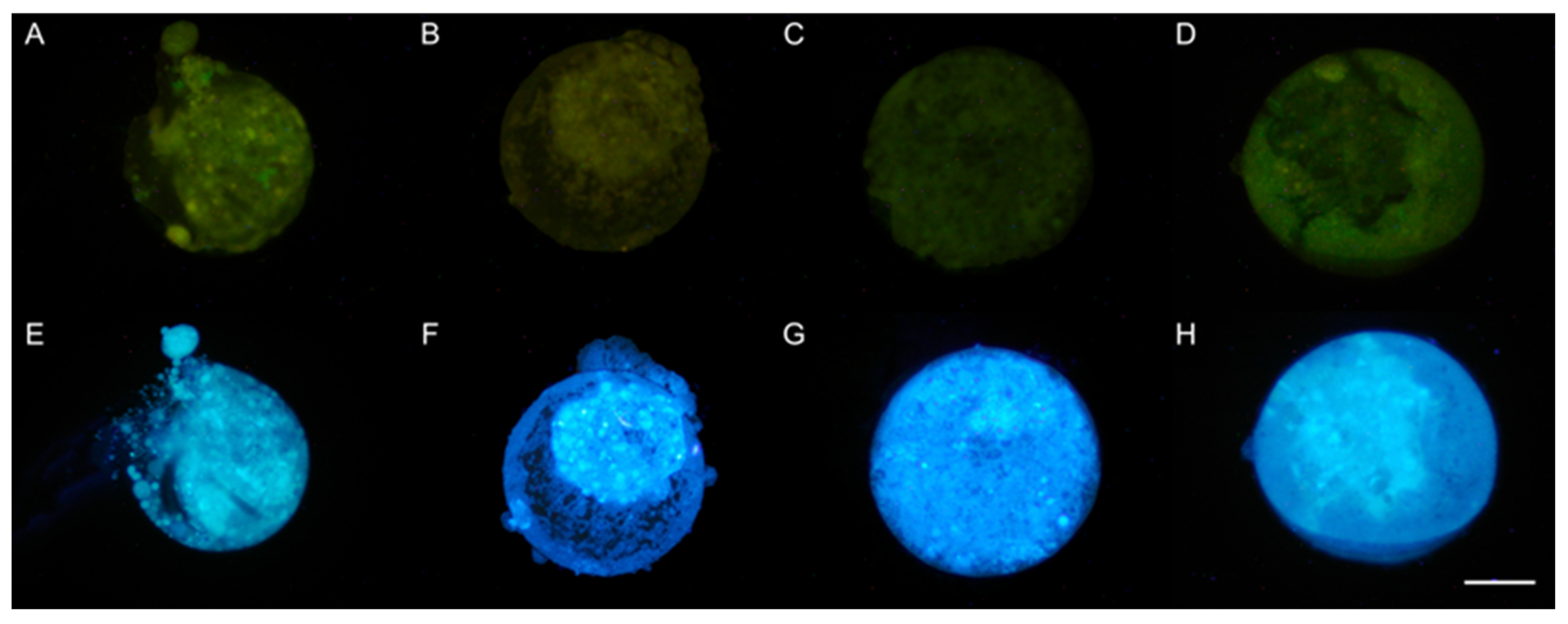 Animals 13 03602 g003