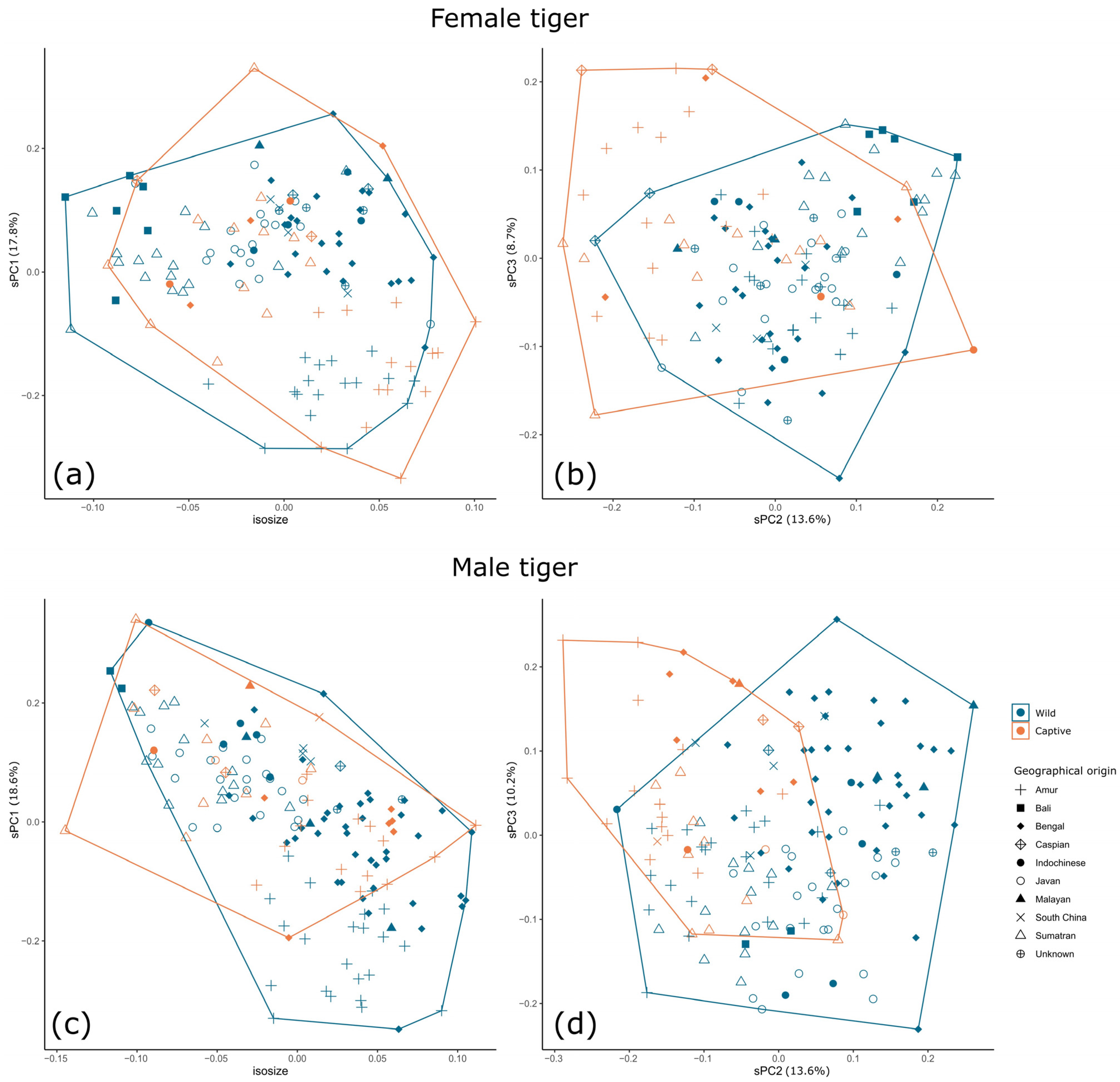 Animals 13 03616 g004