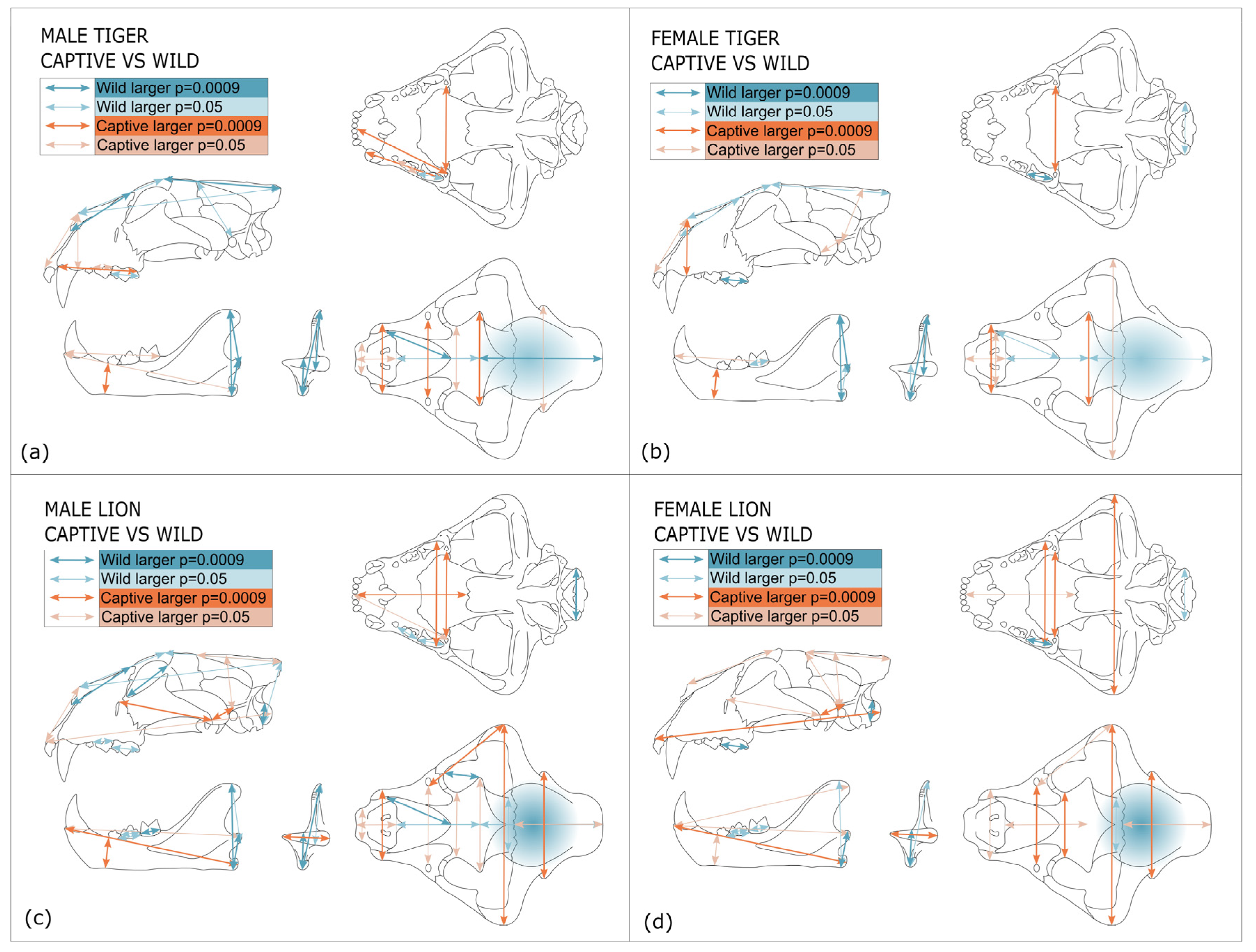 Animals 13 03616 g005