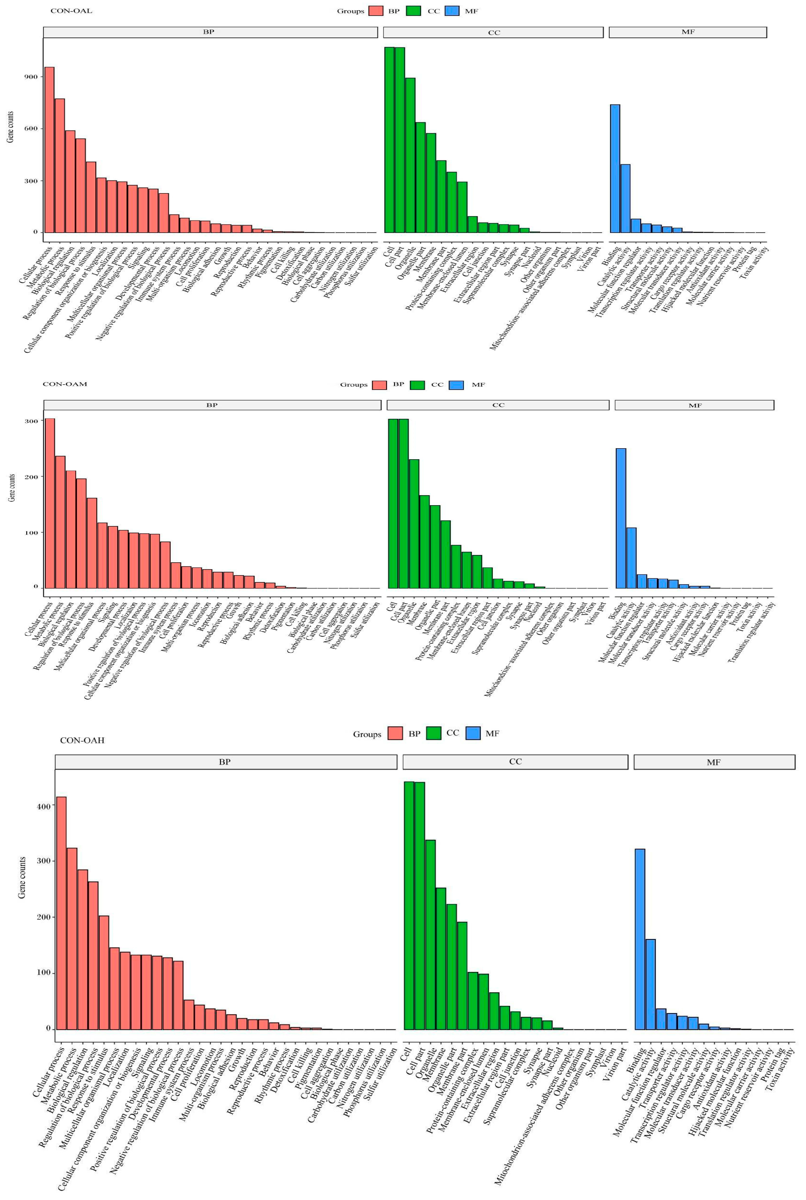 Animals 13 03618 g011