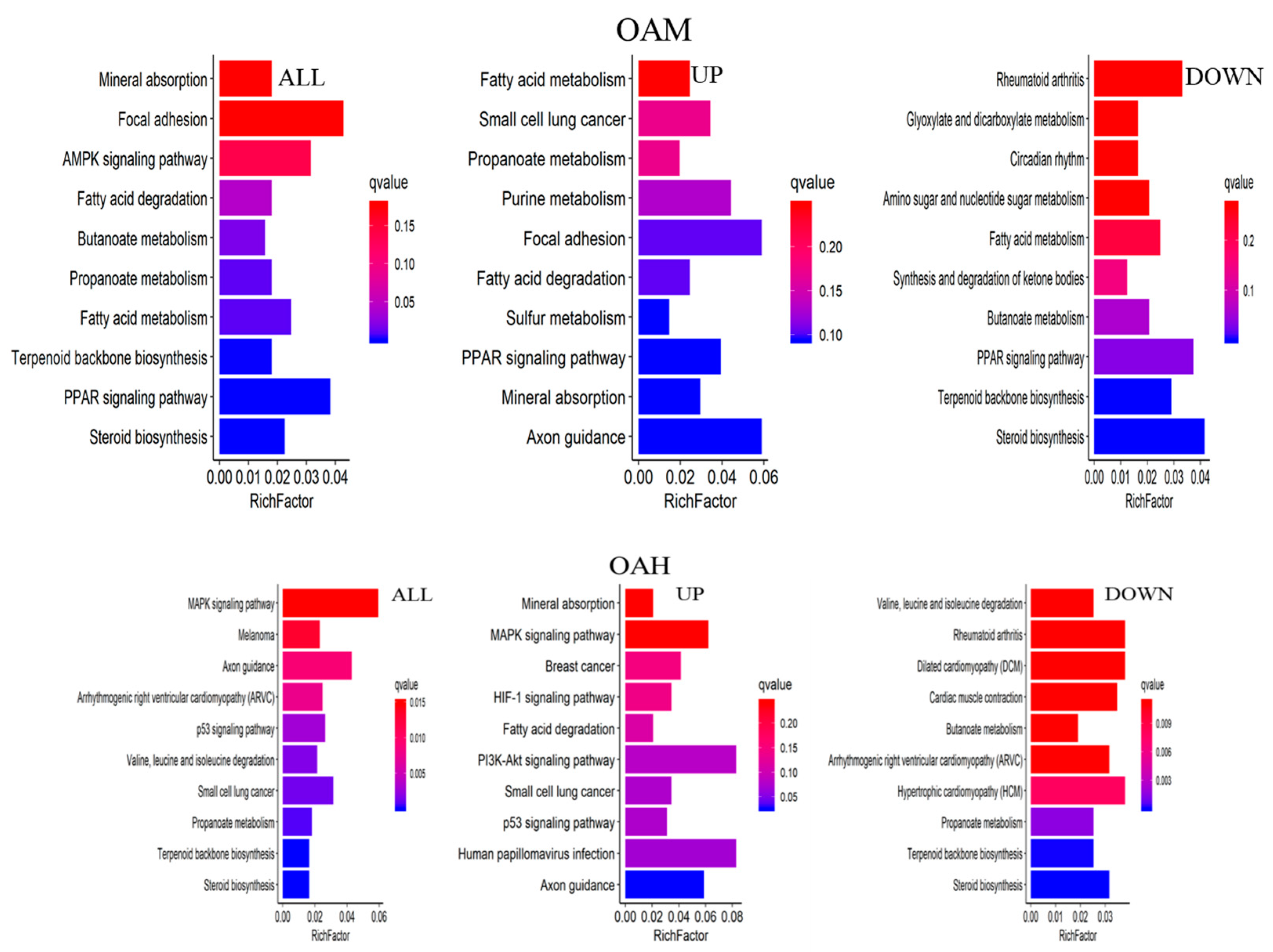 Animals 13 03618 g012b