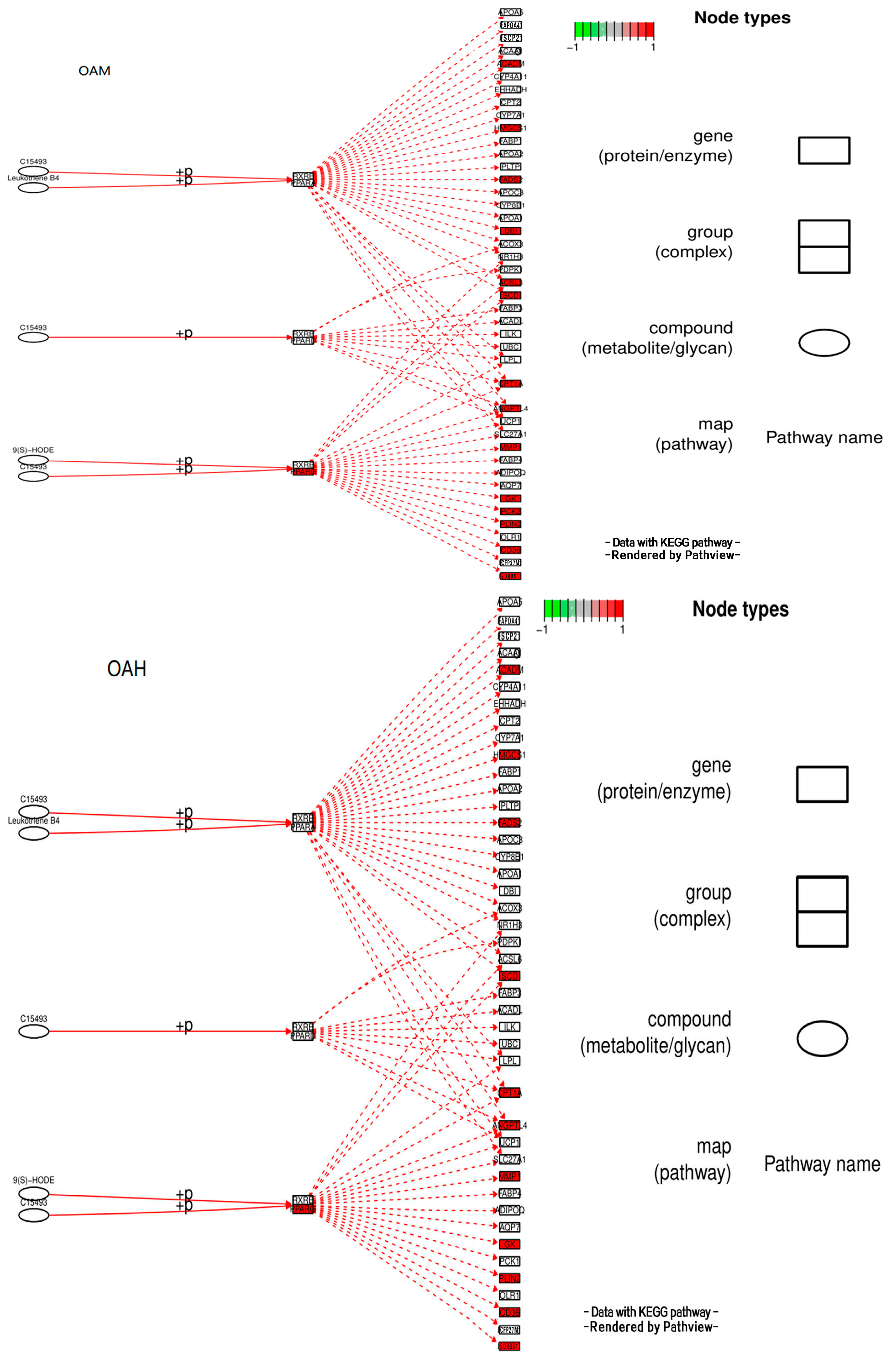 Animals 13 03618 g014