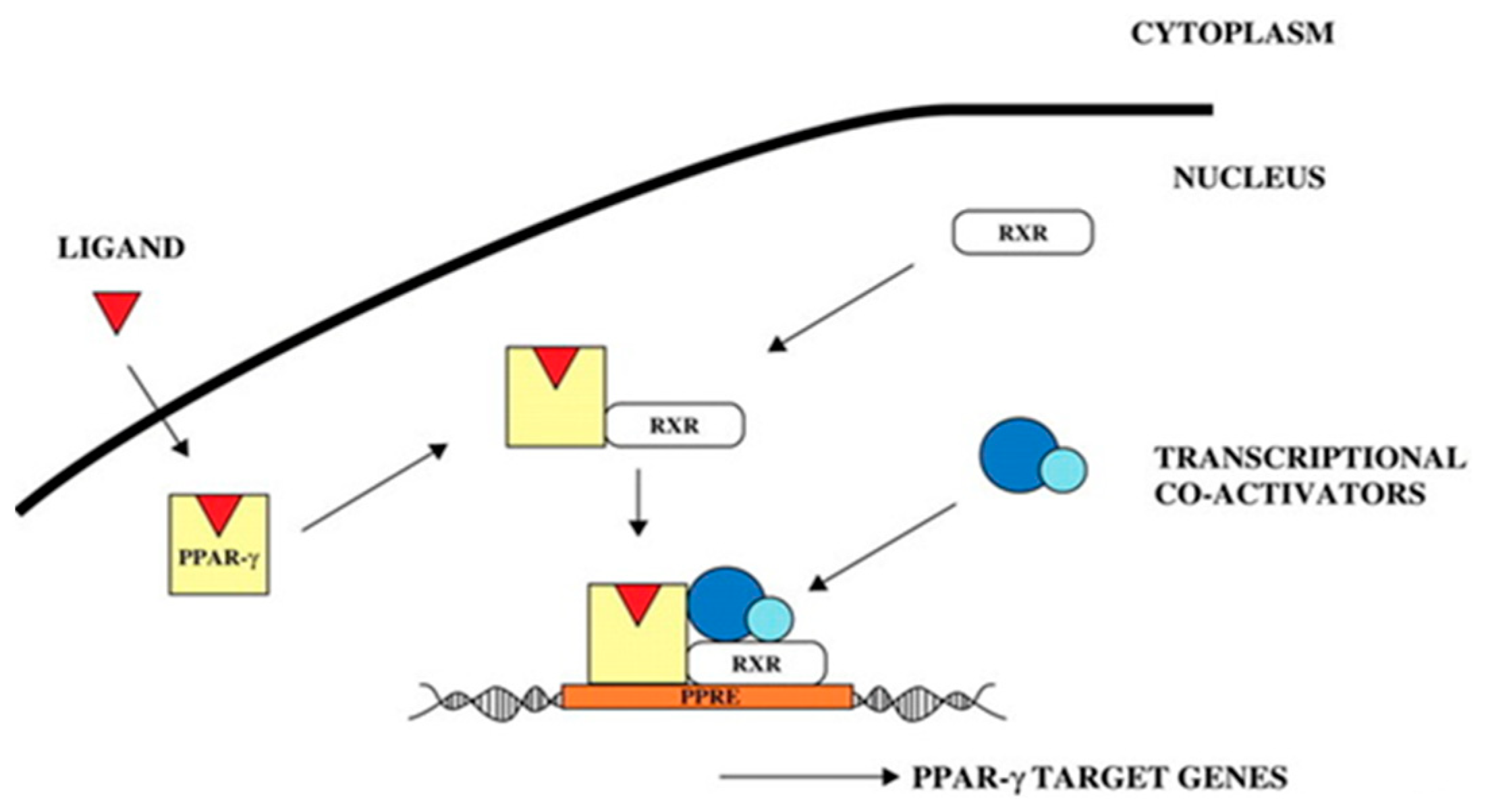 Animals 13 03618 g016