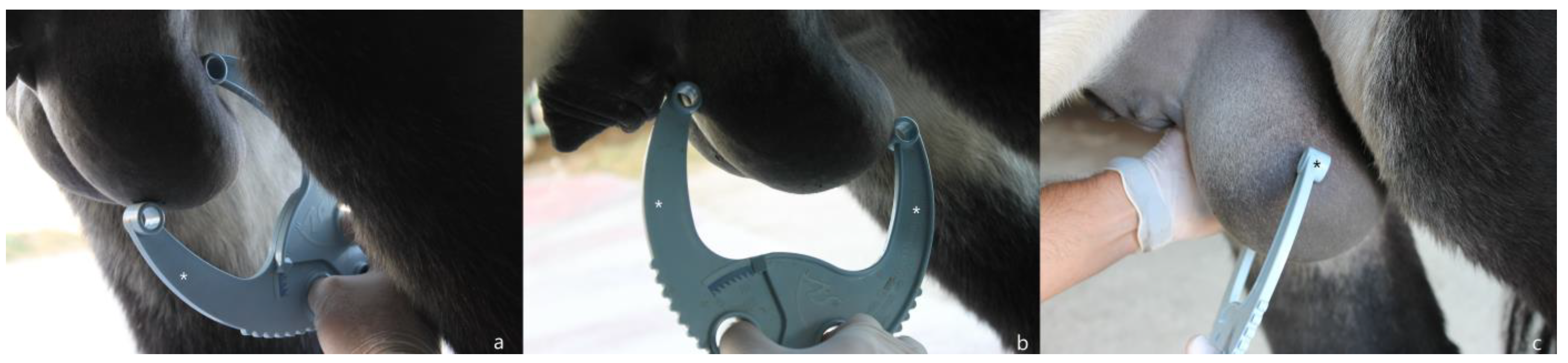 Animals 13 03619 g001