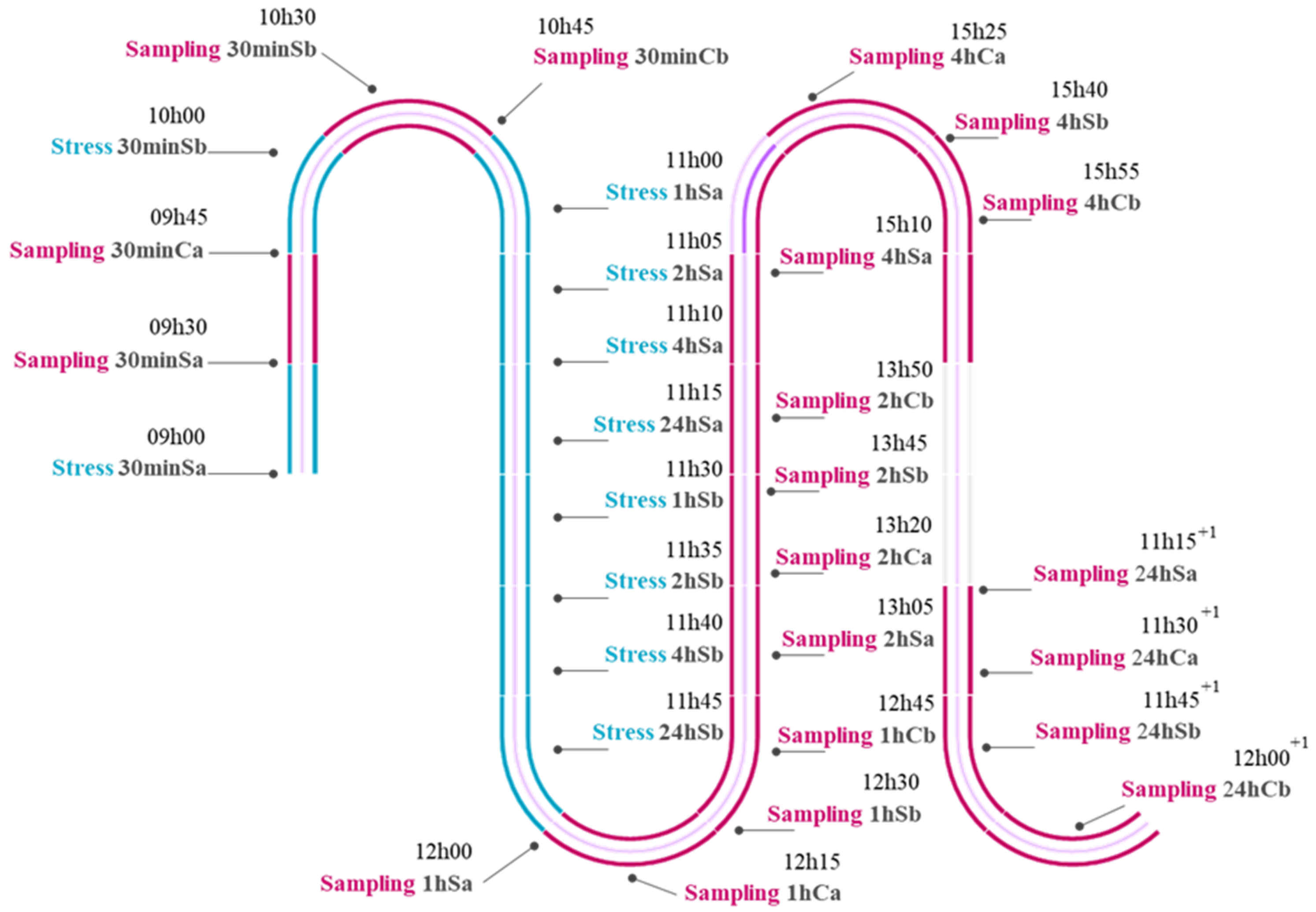 Animals 13 03623 g001