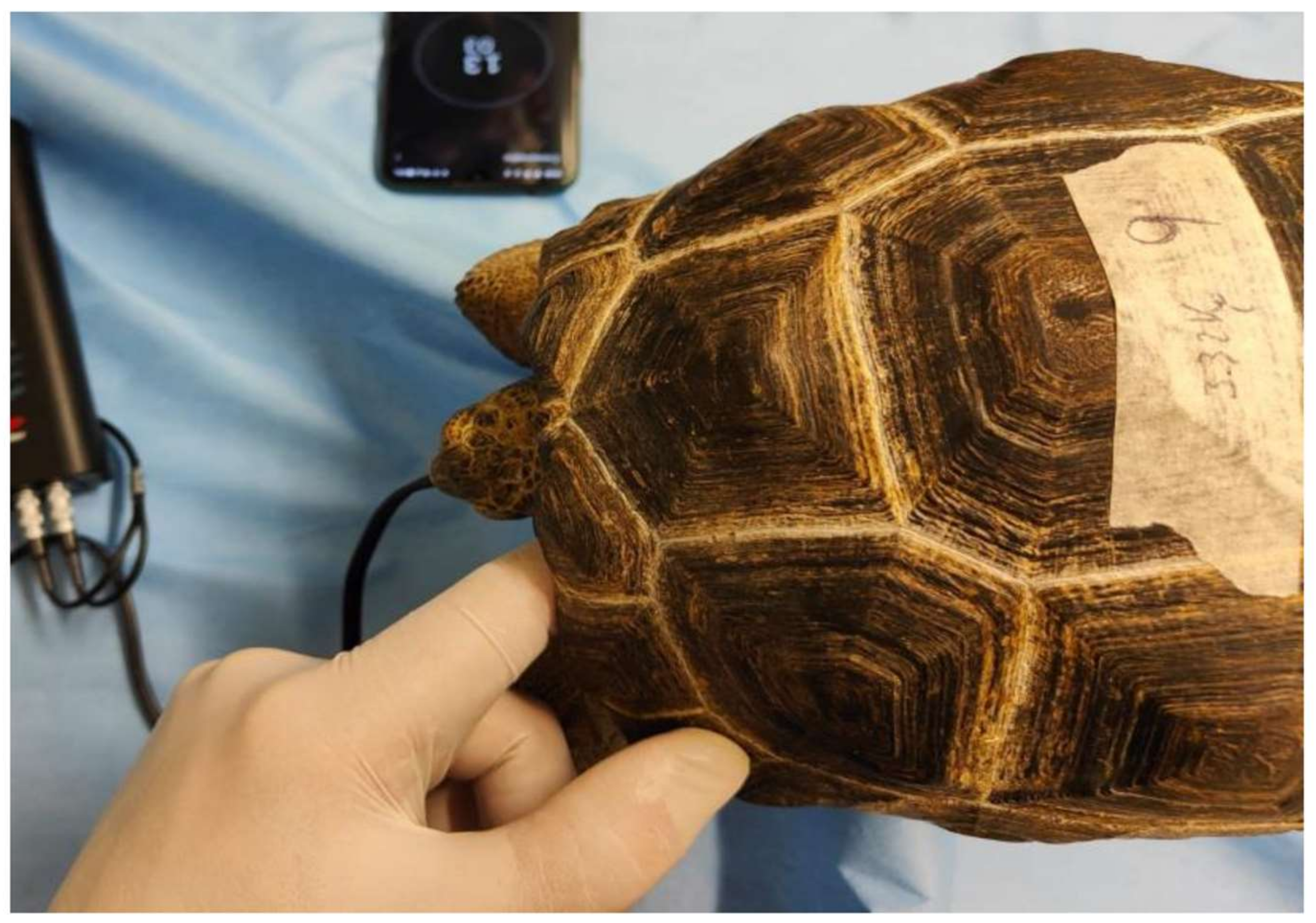 Animals 13 03626 g003