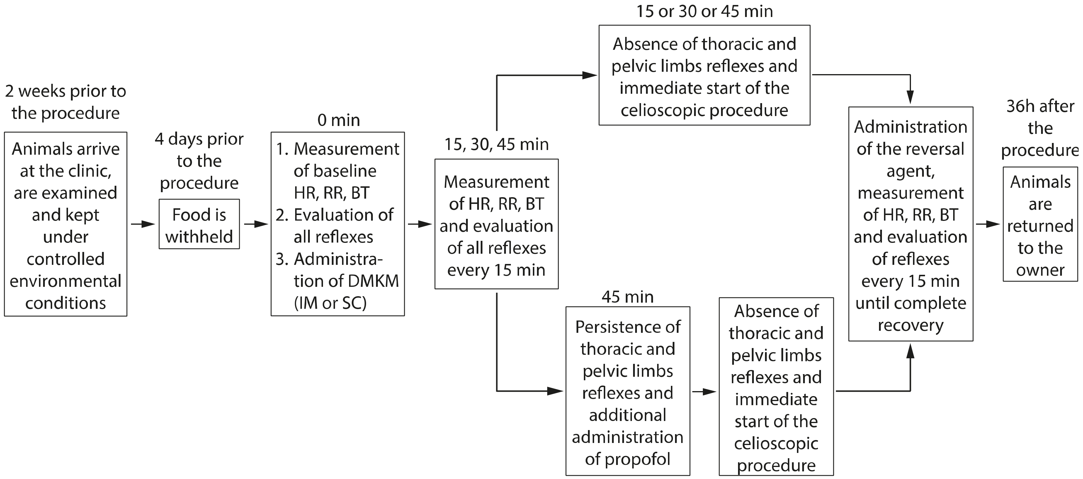 Animals 13 03626 g004
