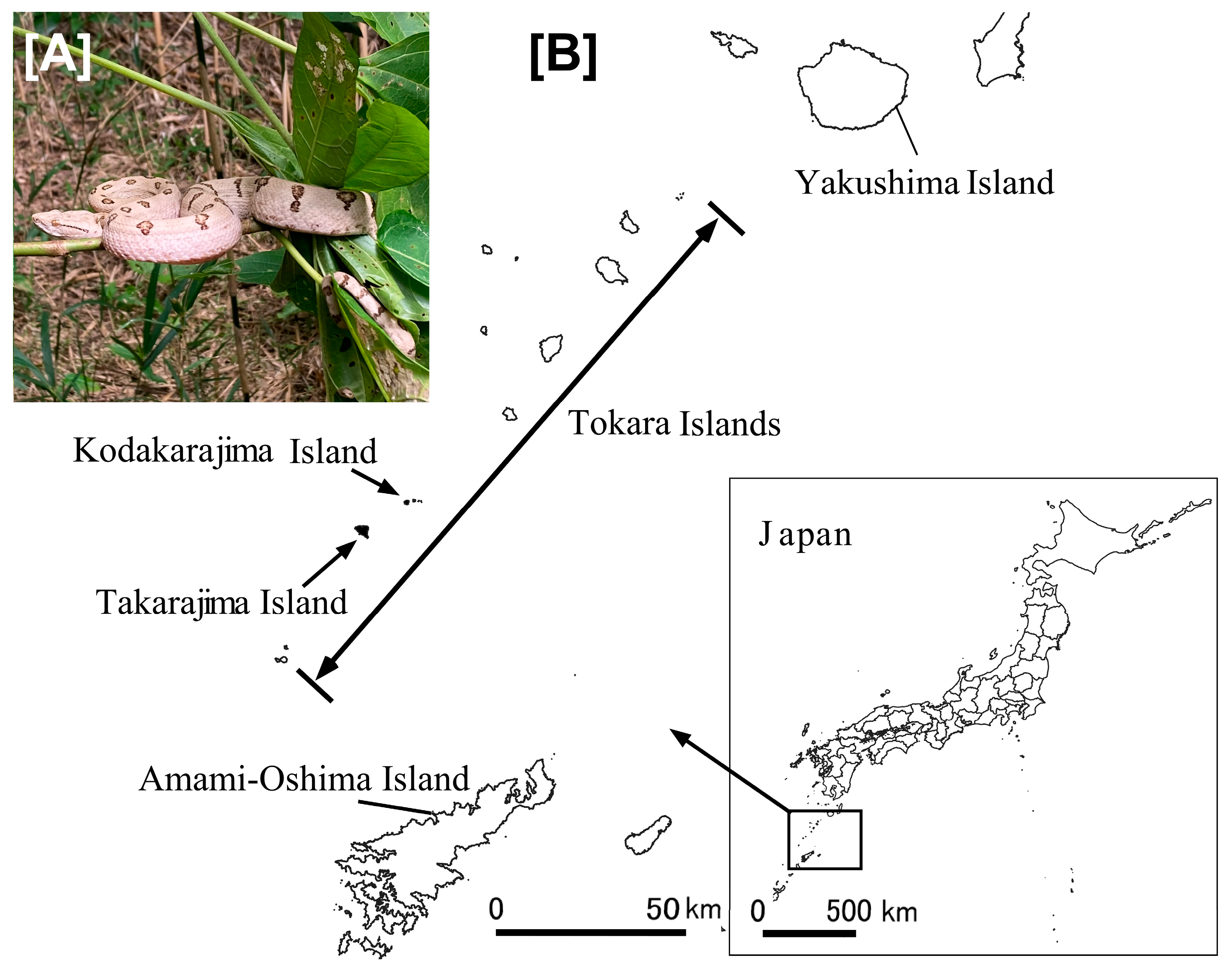 Animals 13 03629 g001