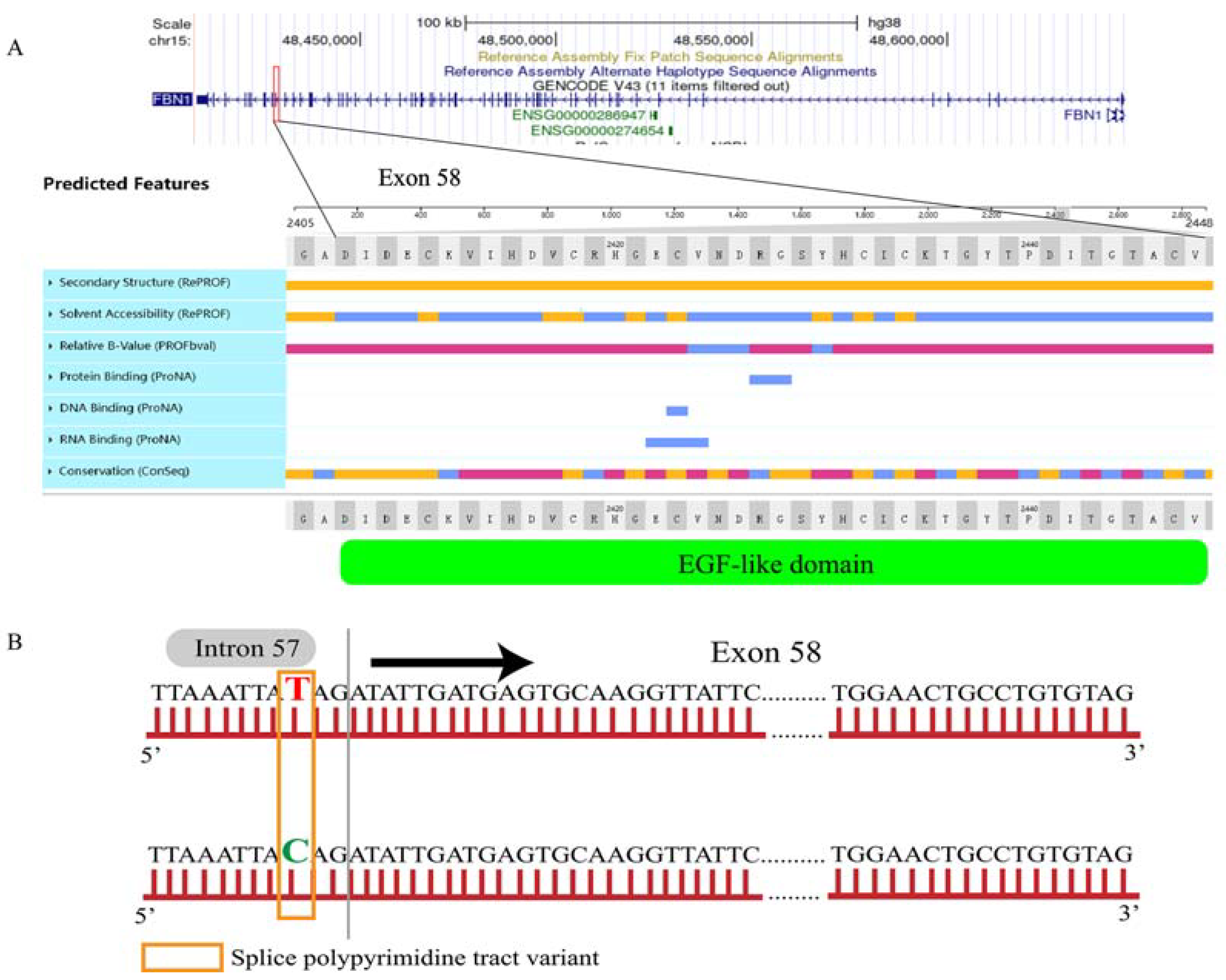 Animals 13 03639 g002