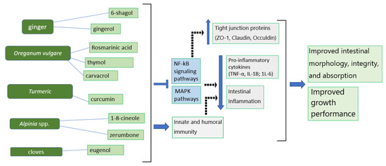Animals 13 03643 g002