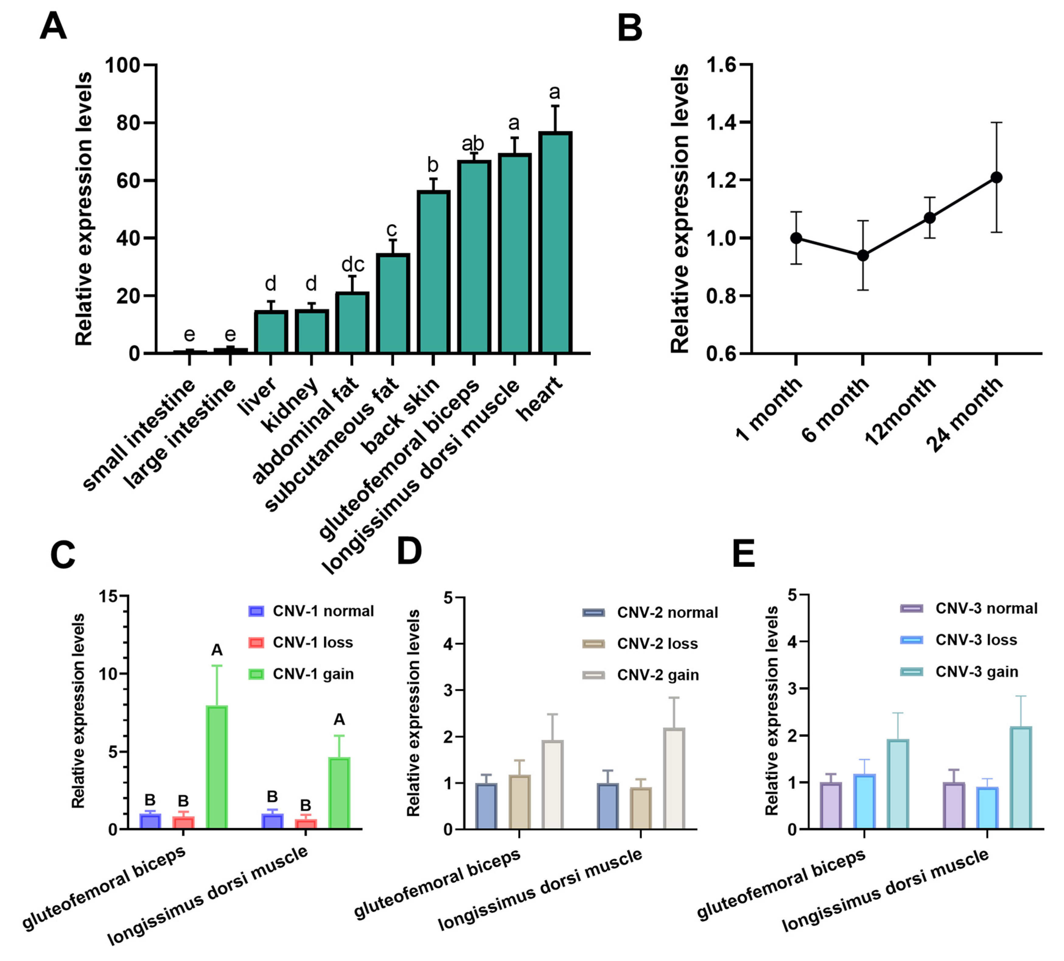 Animals 13 03651 g004