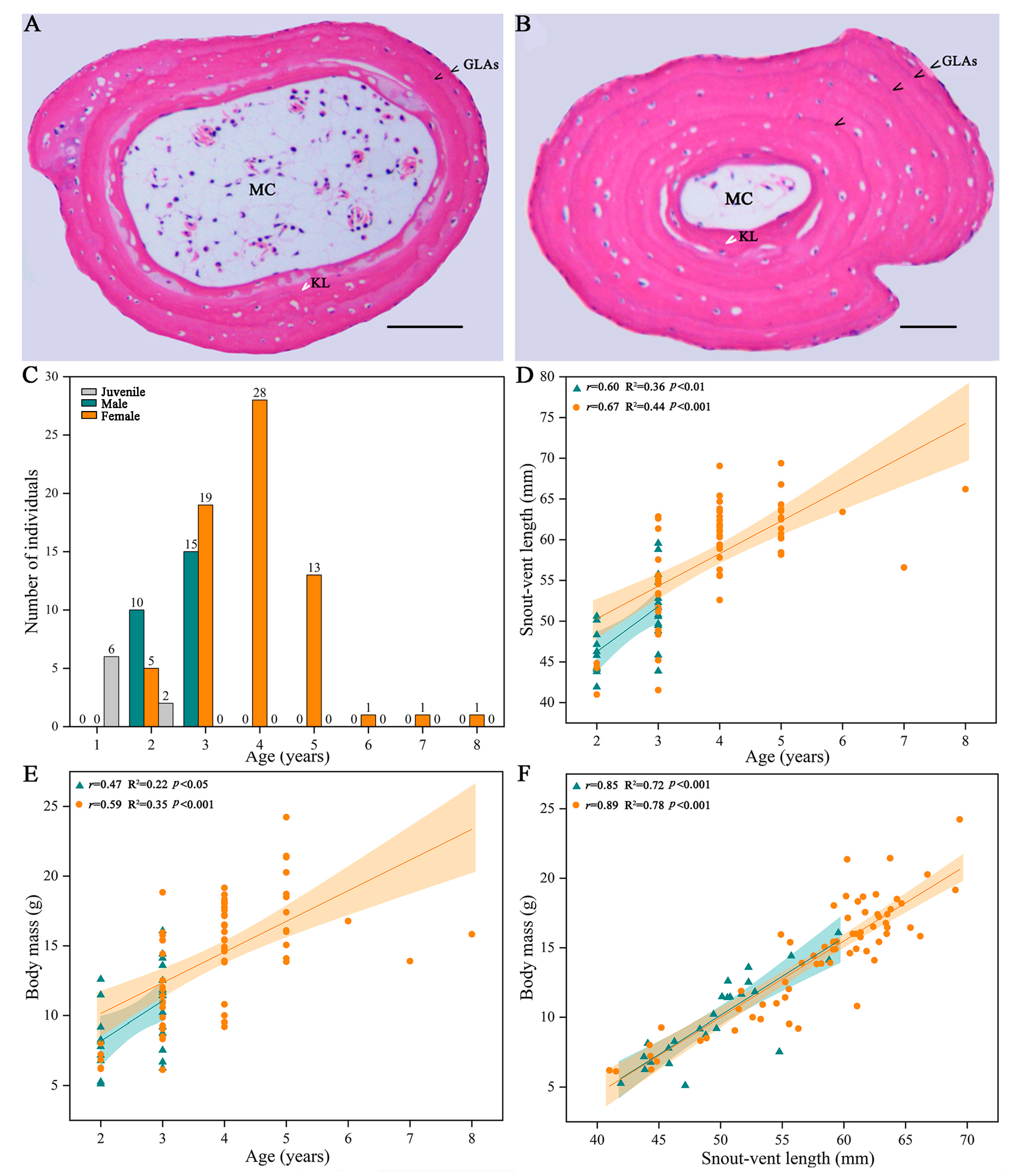 Animals 13 03654 g002