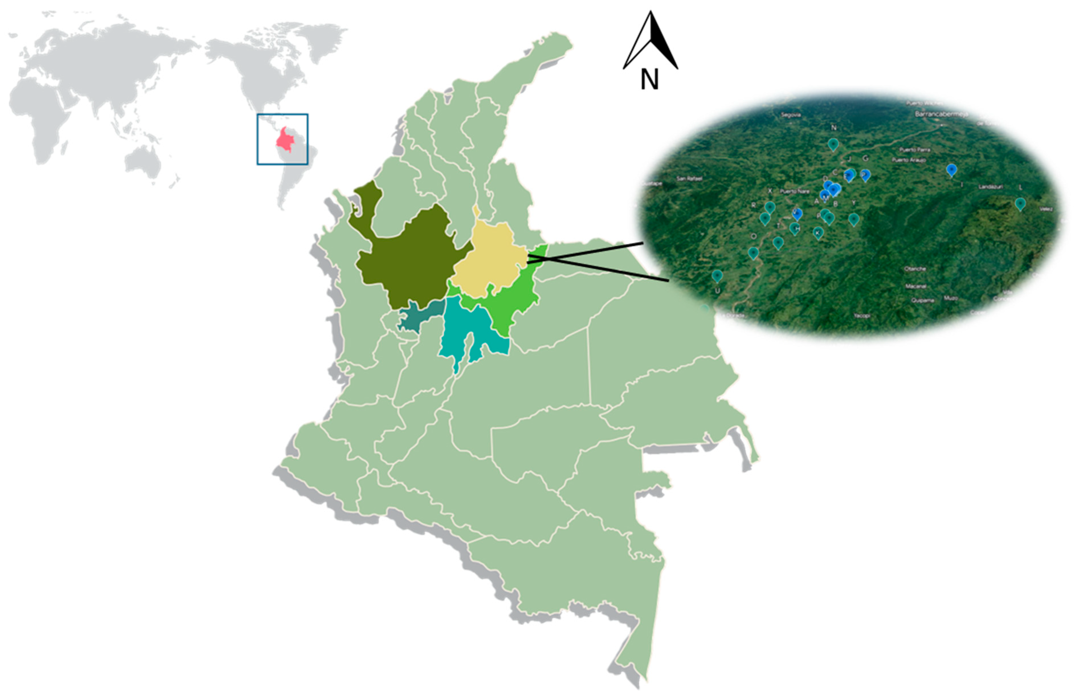 Animals 13 03659 g001