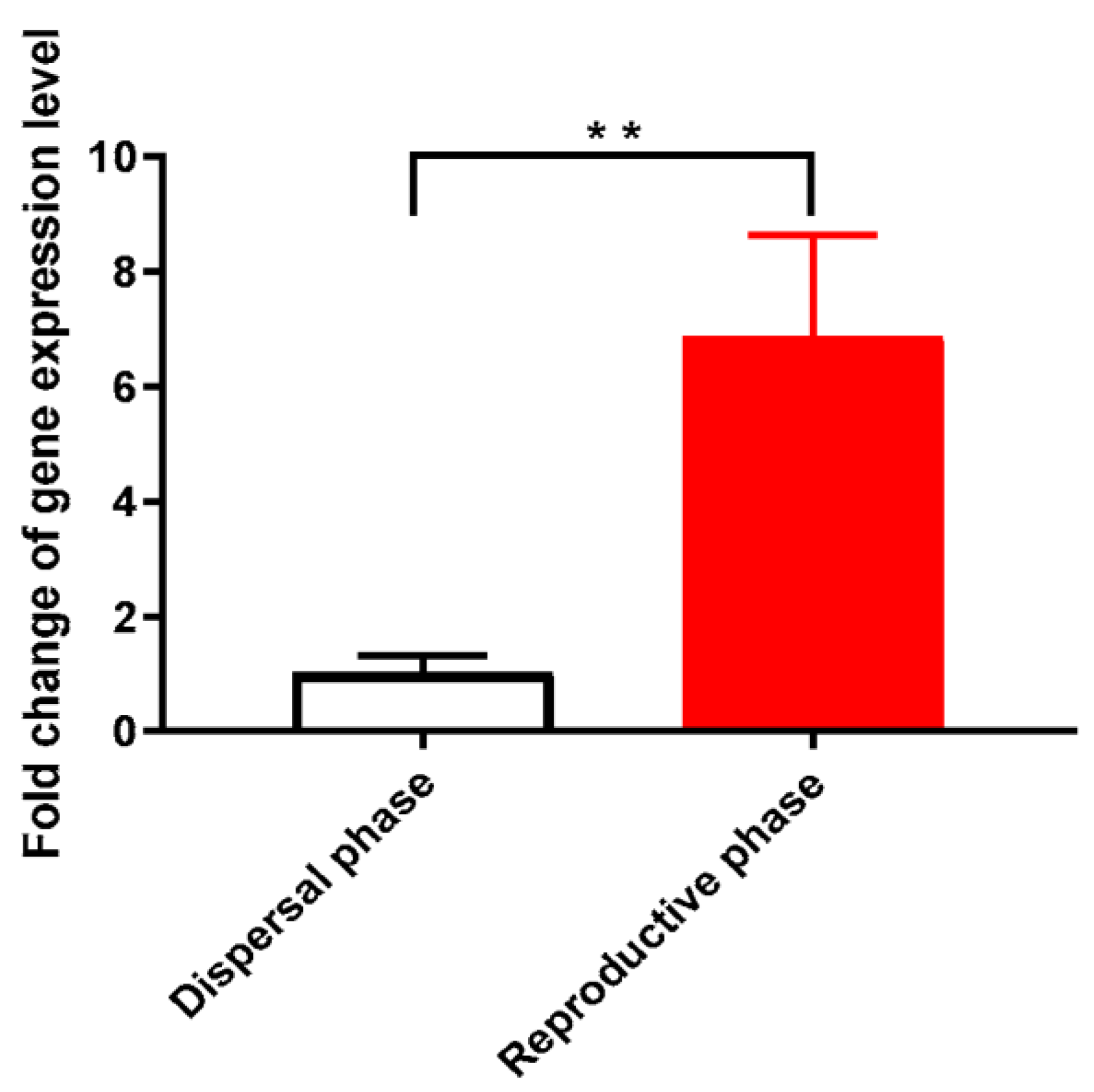 Animals 13 03660 g001