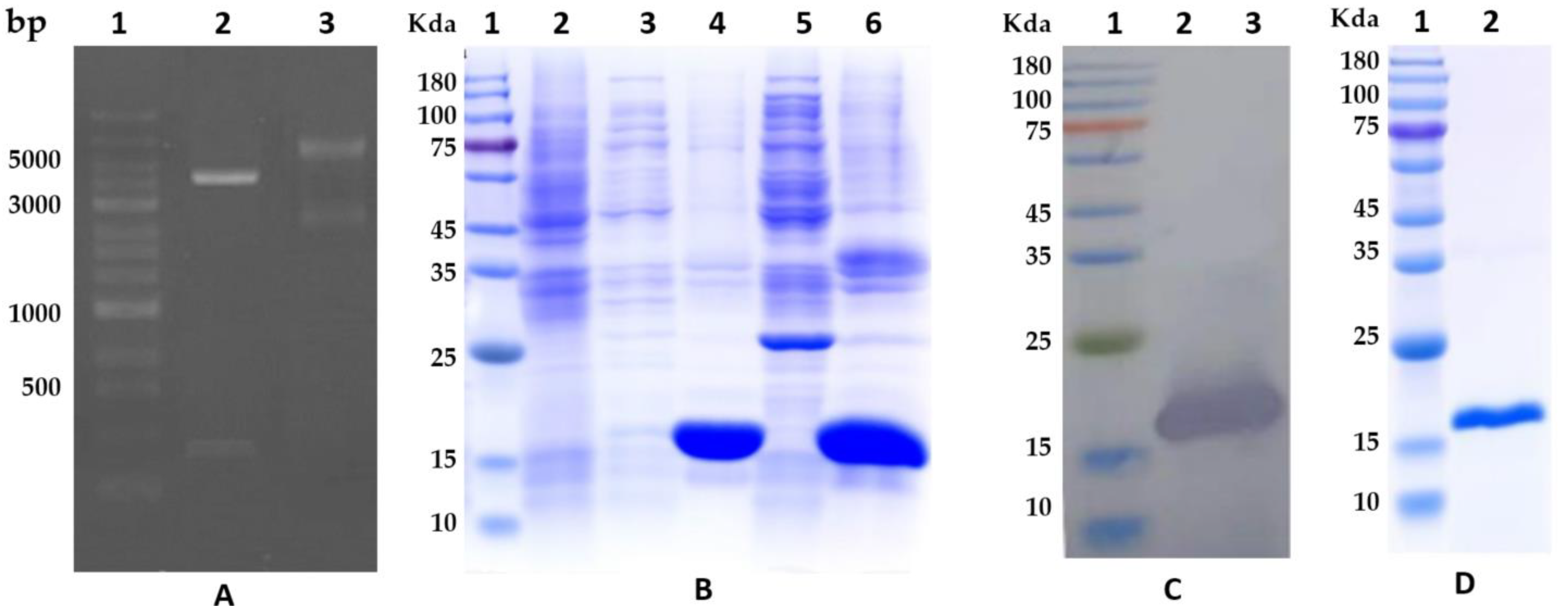 Animals 13 03660 g002